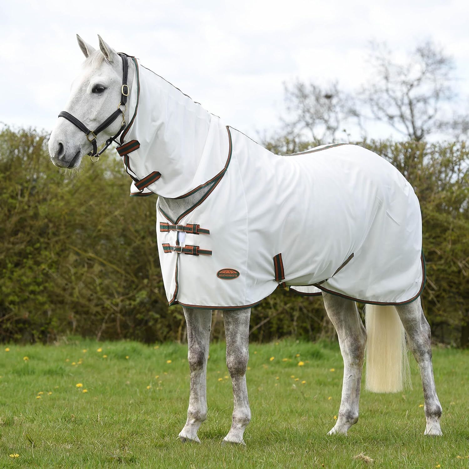 Picture of WeatherBeeta ComFiTec Tyro Mesh Fly Horse Rug,  Combo Full Neck, Lightweight