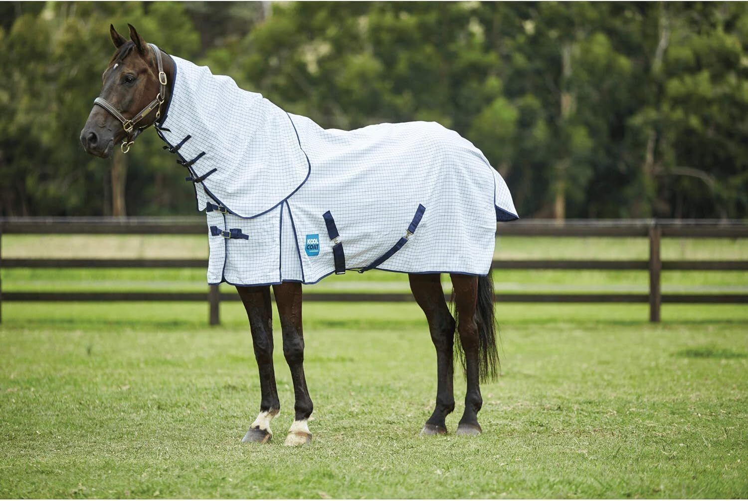 Picture of Kool Coat 0g Horse Rug, Summer Sheet, Classic With Surcingles, Combo Neck Rug