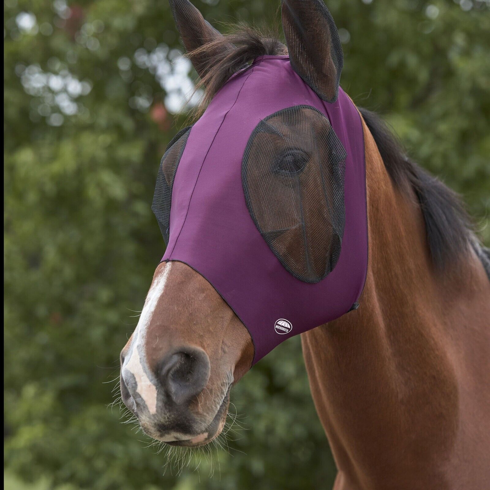 Picture of WeatherBeeta Deluxe Stretch Bug Eye Saver Fly Mask, with Ears, UV, 10 Colours