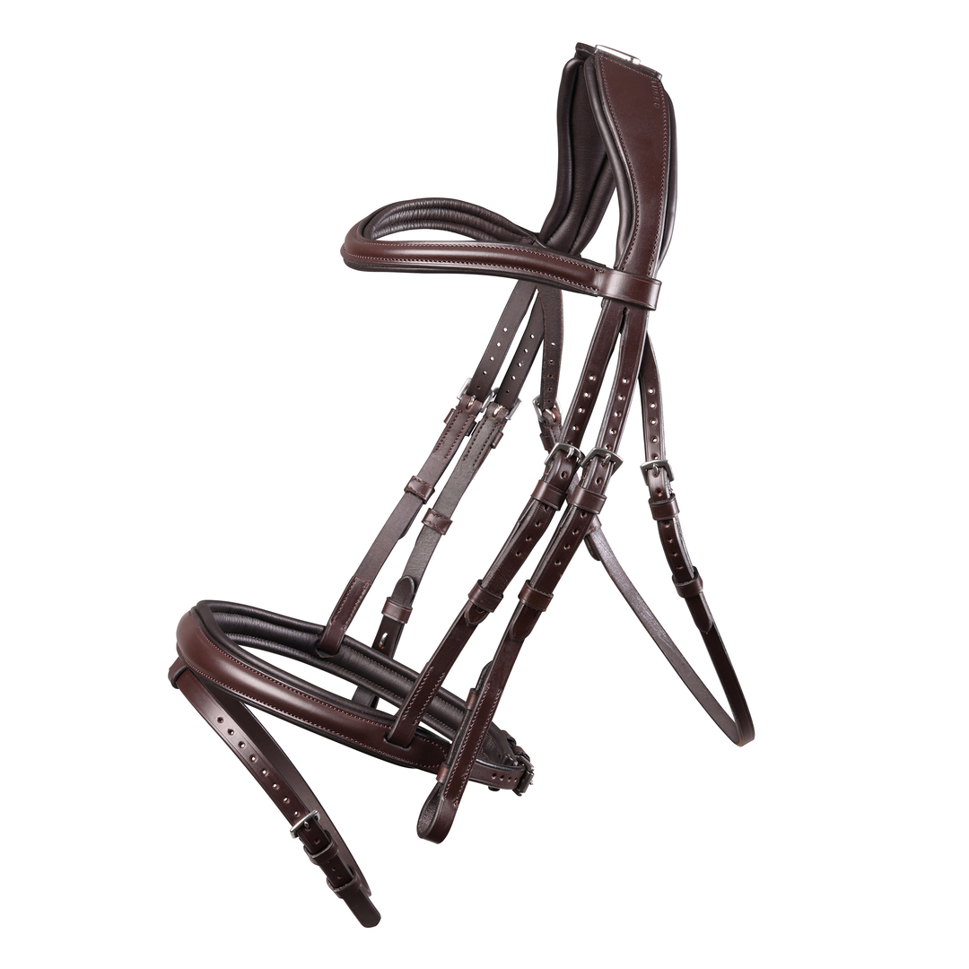 Picture of Bridle, Shires Velociti Lusso Padded Rasied Flash Bridle, Black, Havana, 4 Sizes