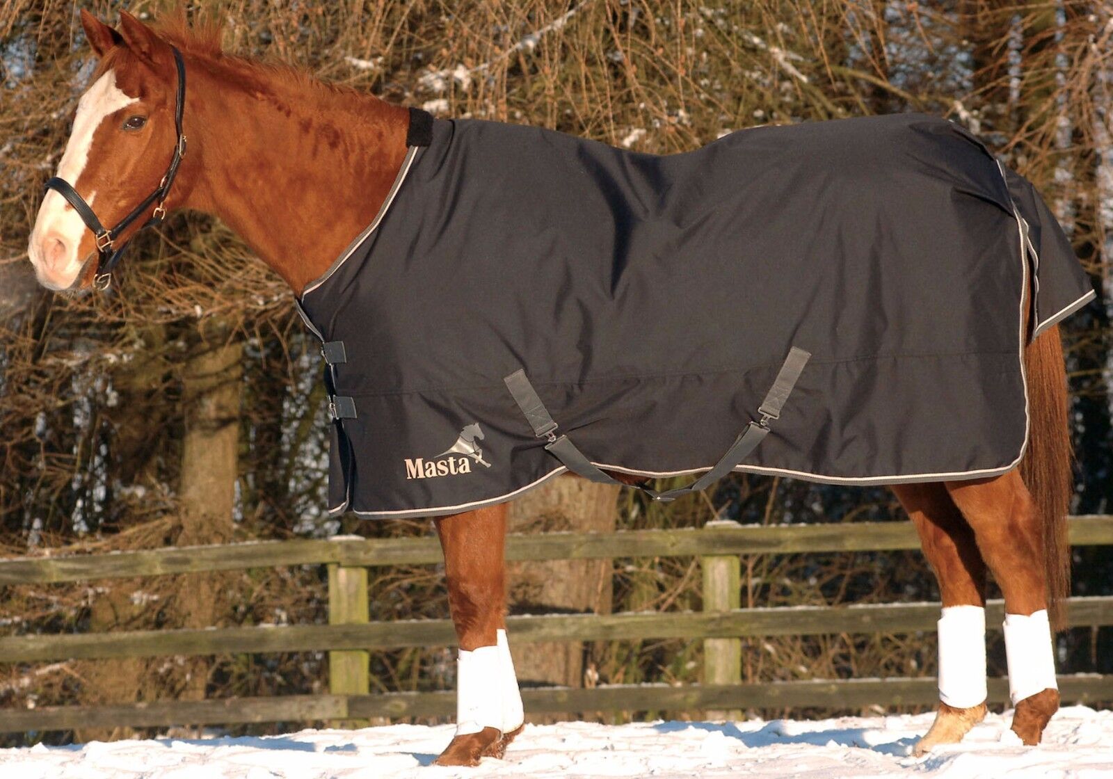 Picture of Masta Avante Winter Heavyweight Horse Turnout Rug Blanket|  340g | 600 Denier