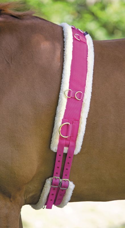 Picture of Shires Nylon Lunge Roller Soft Fleece Padding Adjustable Lunging Training