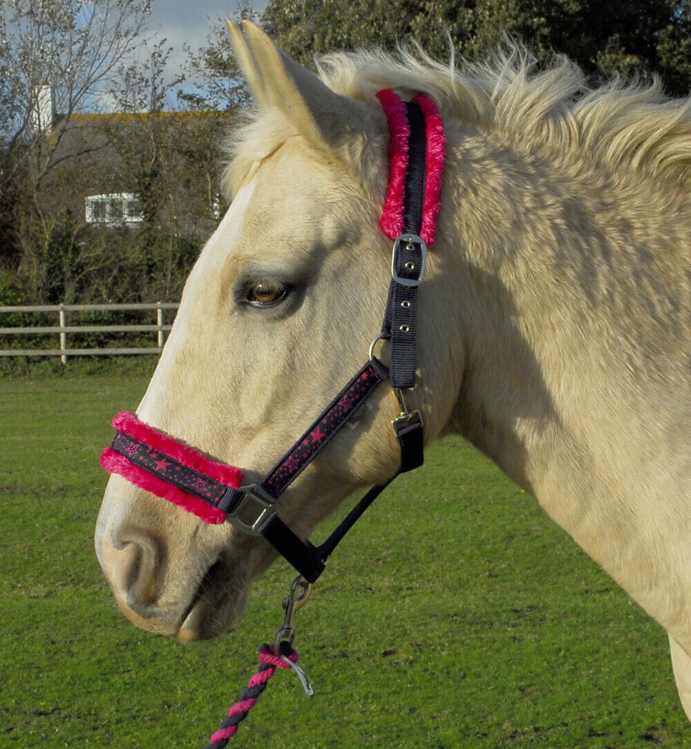 Picture of Rhinegold Crystal Star Padded Headcollar & Rope Set | 2 Colours | 4 Sizes