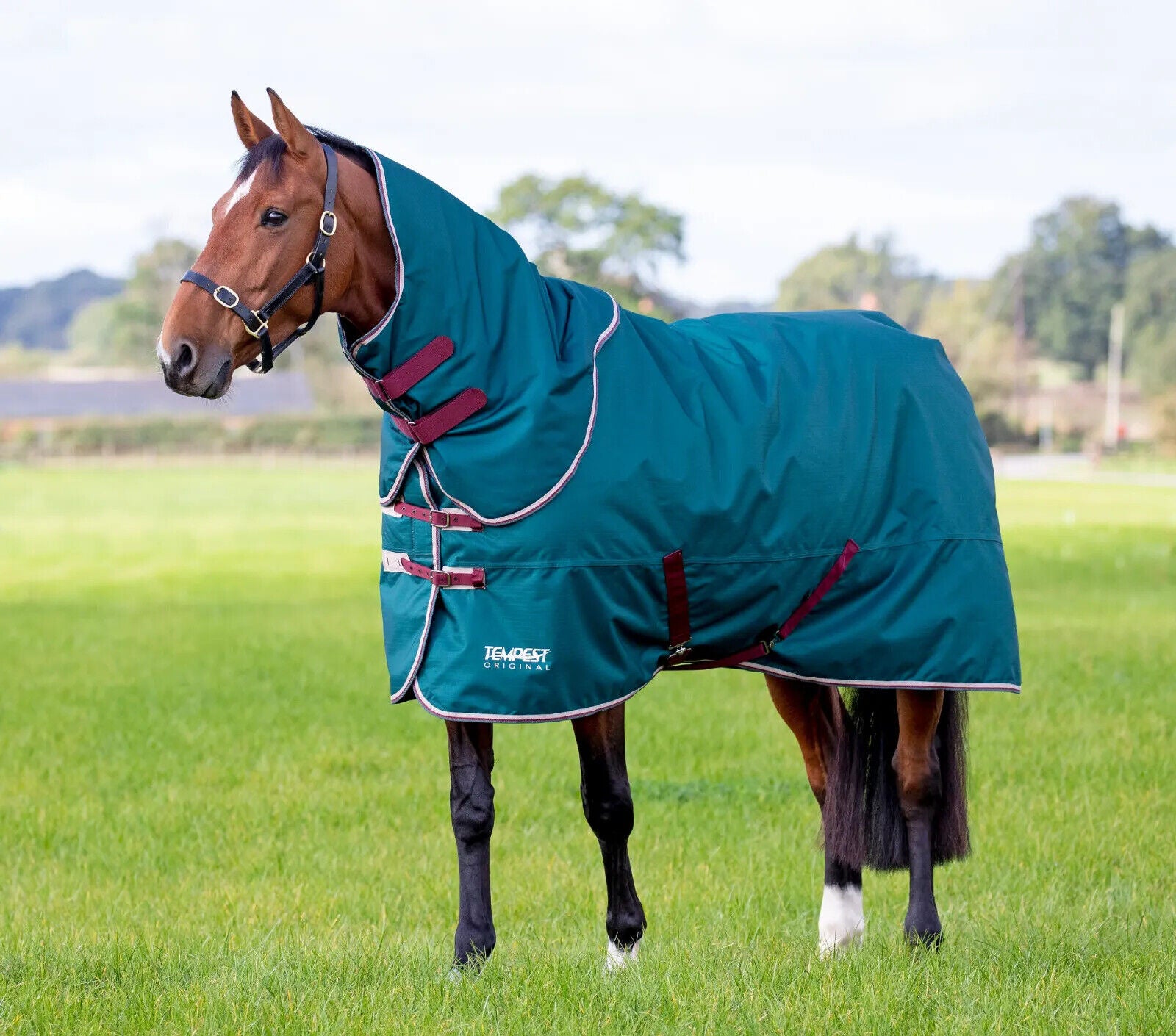 Picture of Shires Tempest Original 200 Horse Turnout Rug & Neck Set |  Green | 4'0" - 7'3"