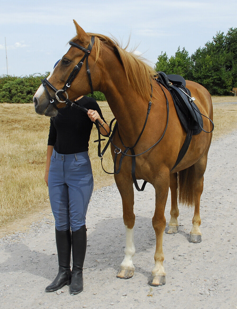 Picture of Windsor Equestrian Leather Running Martingale - Black/Havana - 4 Sizes