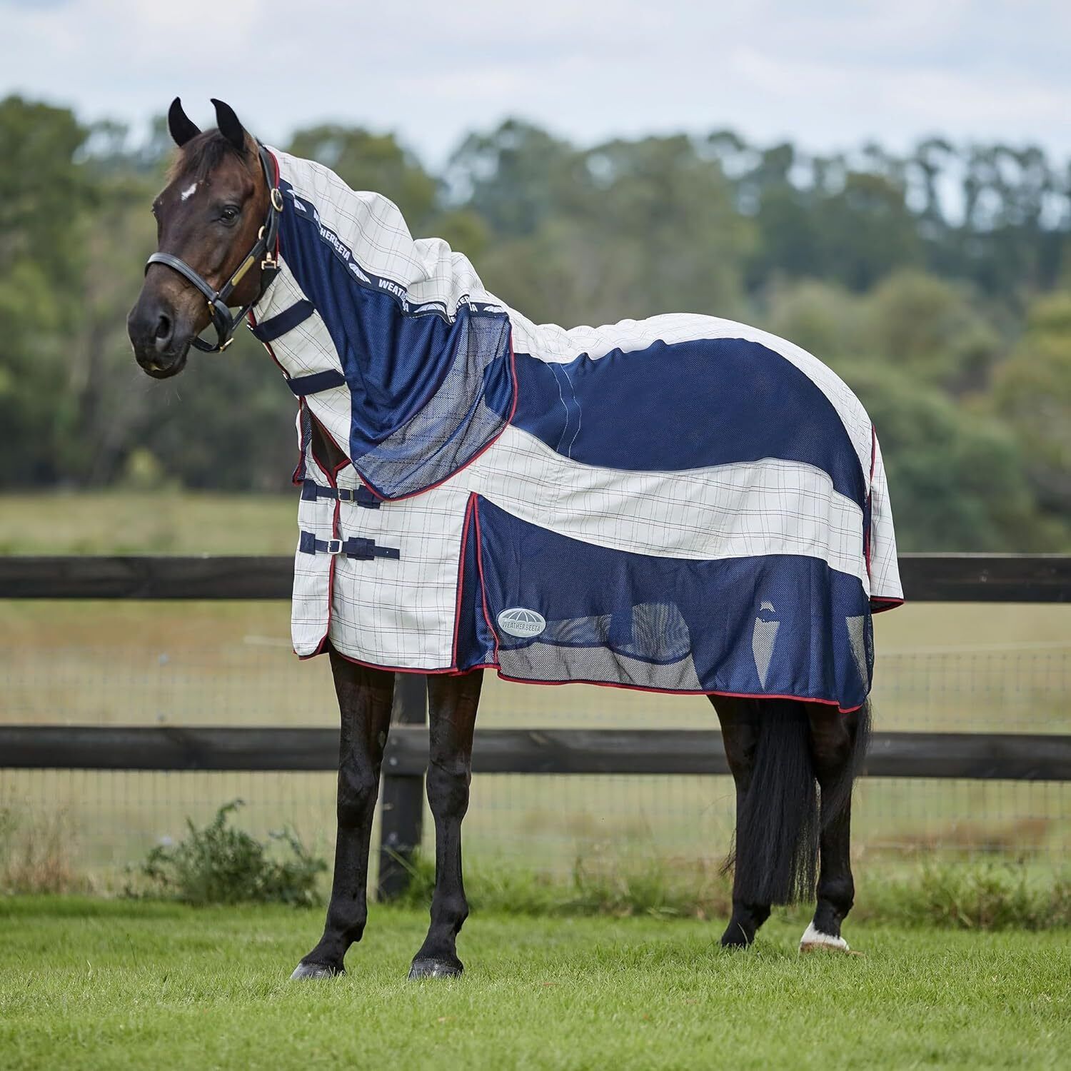 Picture of WeatherBeeta Breeze with Surcingle IV Fly Rug, Combo Full NeckHorse Rug/Sheet,