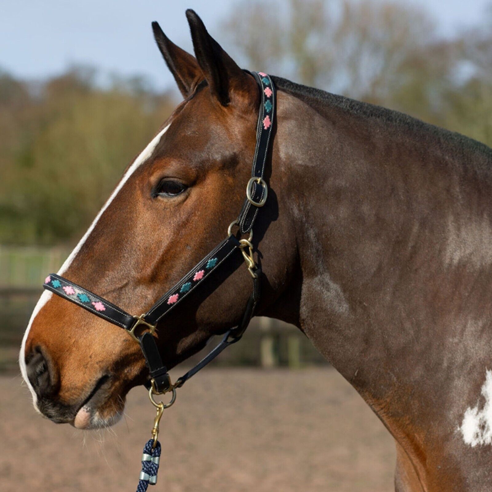 Picture of Leather Headcollar, Gallop Premium Diamond Stitch Padded , 4 Colours, 4 Sizes