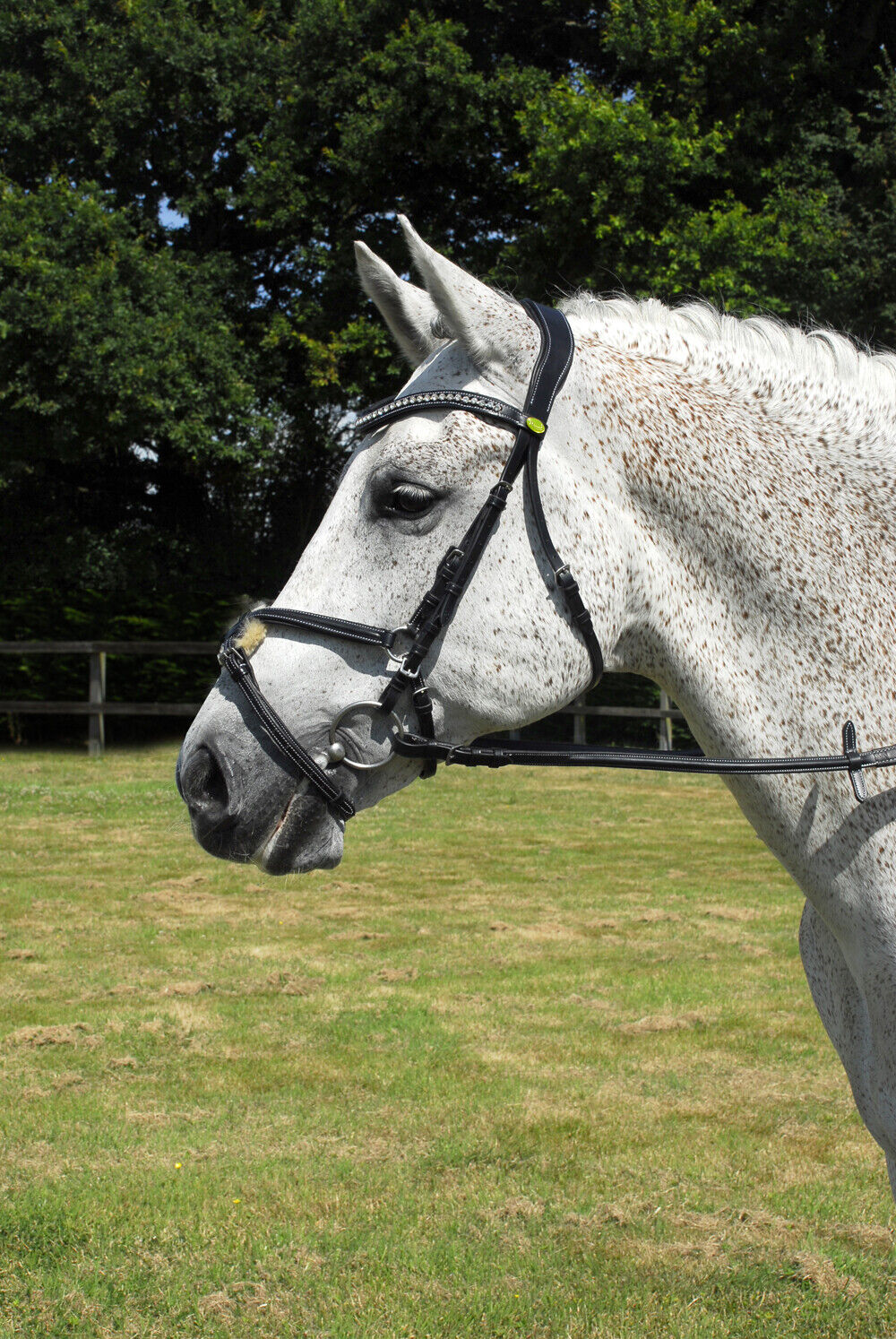 Picture of Rhinegold Italian Leather Anatomical Bridle with Mexican Noseband | Black Havana