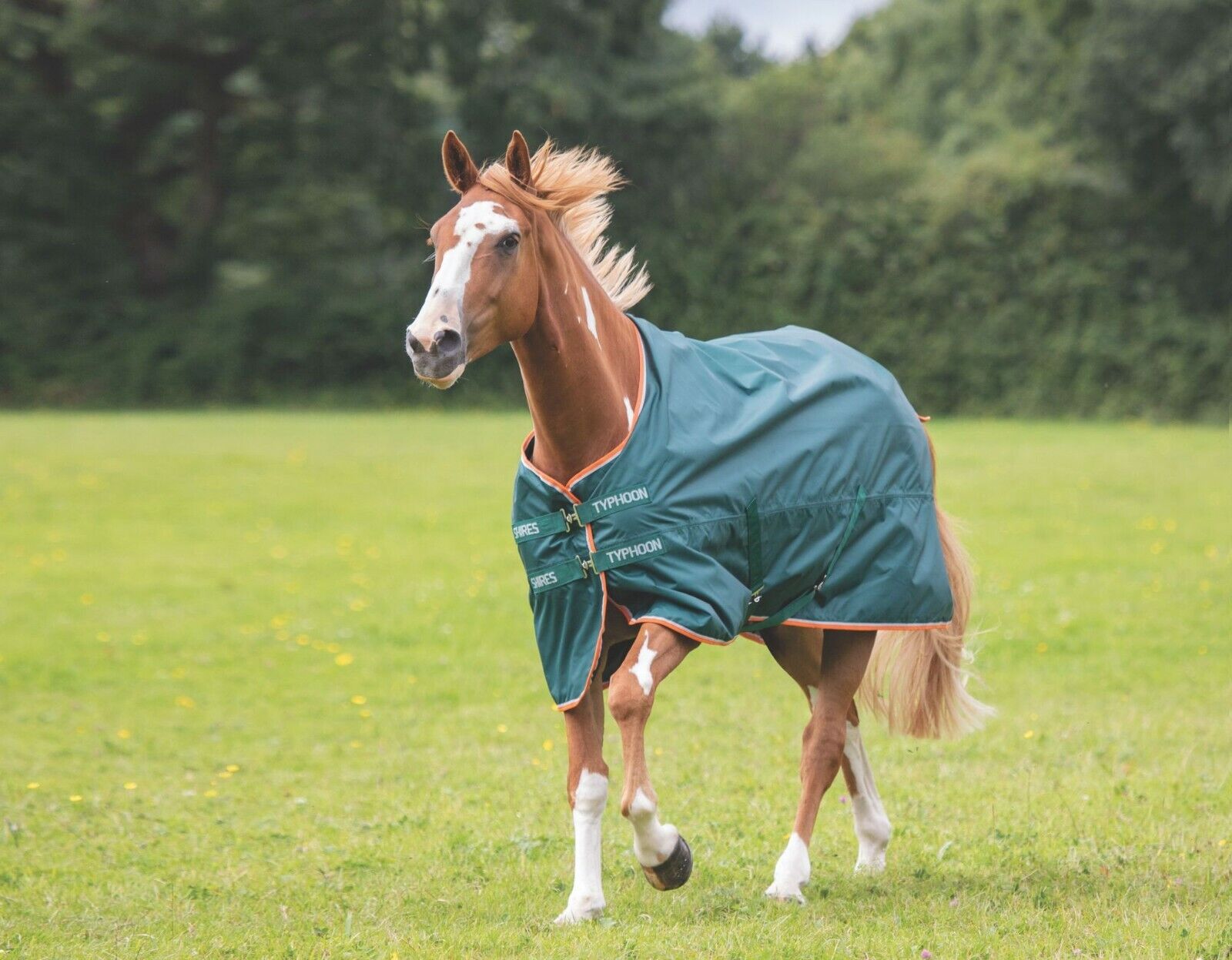 Picture of Shires Typhoon Lite No Fill 0G Lightweight Horse/Pony Turnout Rug  | Green
