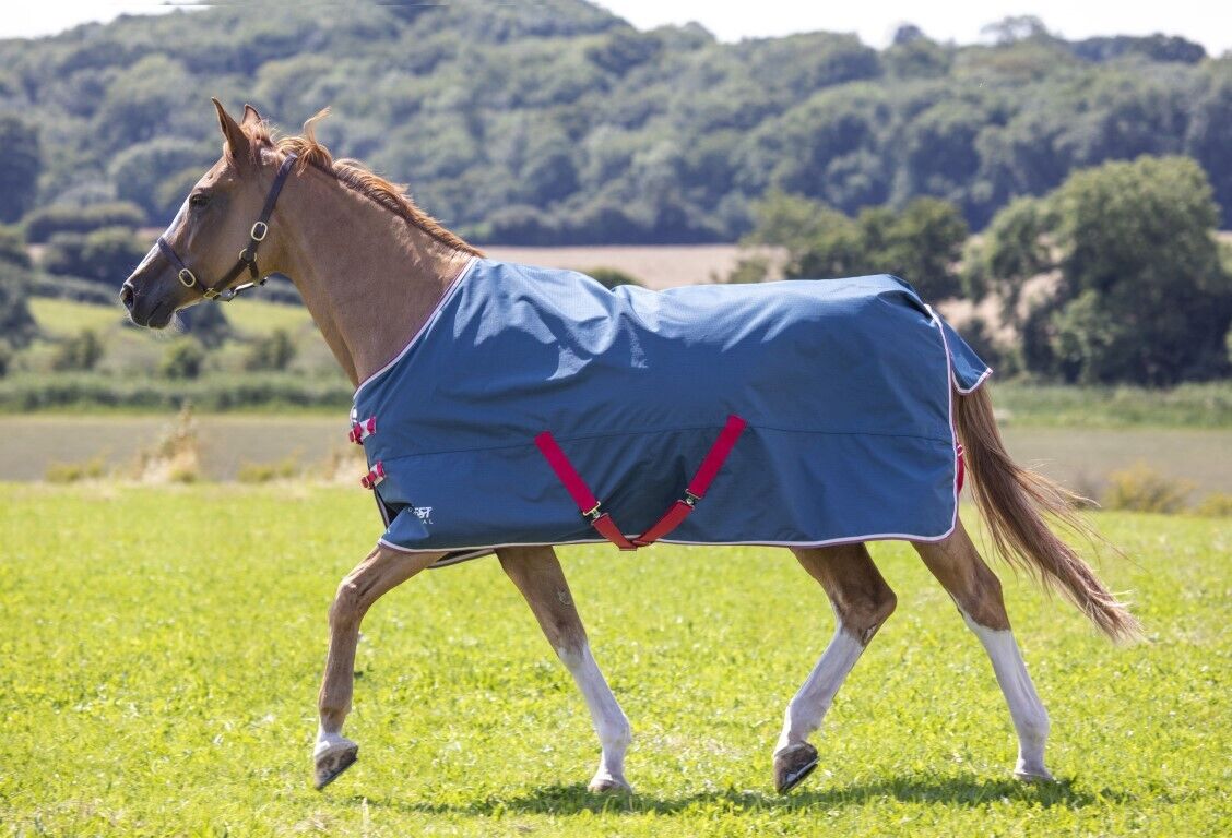 Picture of Shires Tempest Original Lite Turnout Horse Rug, Lightweight 0G | Teal, Pink Tie