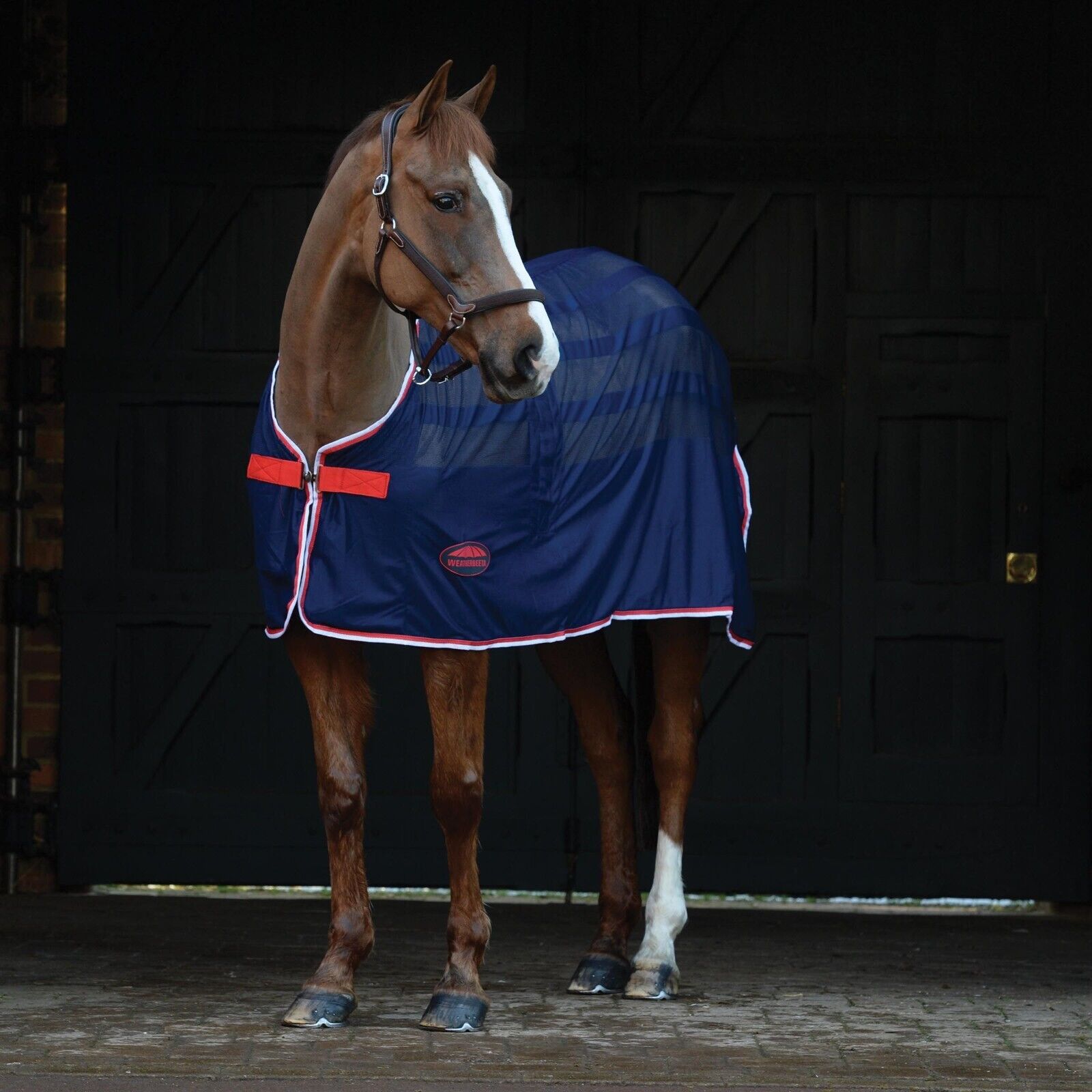 Picture of Weatherbeeta Scrim Horse Cooler / Travel Rug, Std Neck