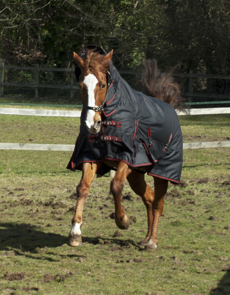 Picture of Heavyweight Horse Turnout Rug, 350g Rhinegold Aspen Combo, Full Neck, Winter
