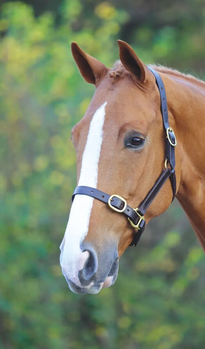 Picture of Shires Velociti Gara Fully Adjustable Leather Headcollar | Black,Havana| 7 Sizes