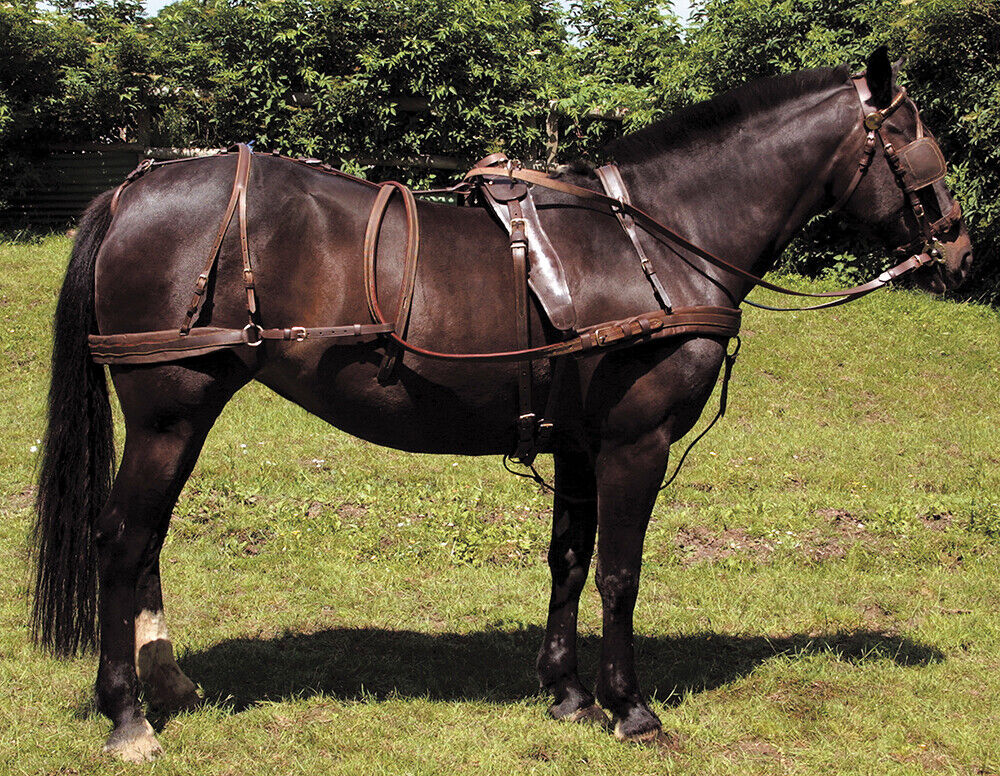 Picture of Windsor Oily Leather Harness| Breast Harness Complete Set| Black, Brown| 4 Sizes