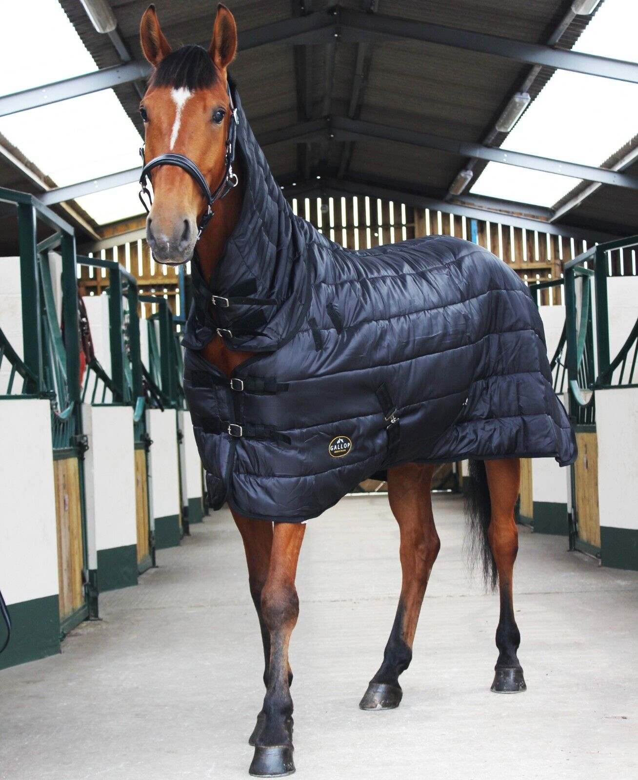 Picture of Stable Rug Combo Neck Gallop Trojan 150g Flexi Combo Under Rug Horse Cob Pony