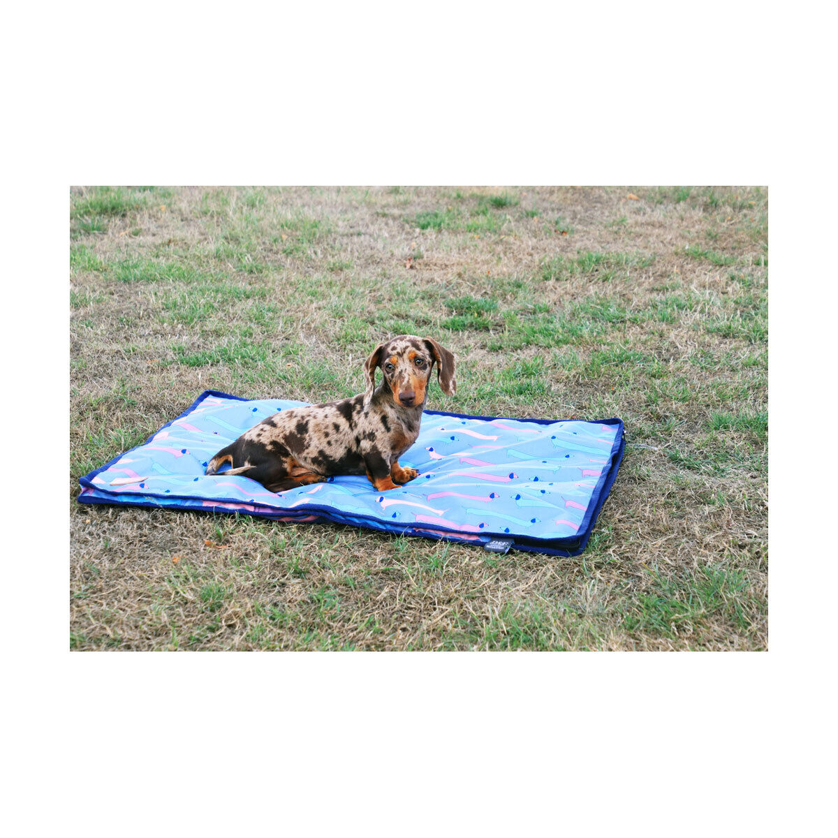 Picture of Dog Bed by Benji & Flo, Dorris The Dachshund Waterproof Durable Machine Washable