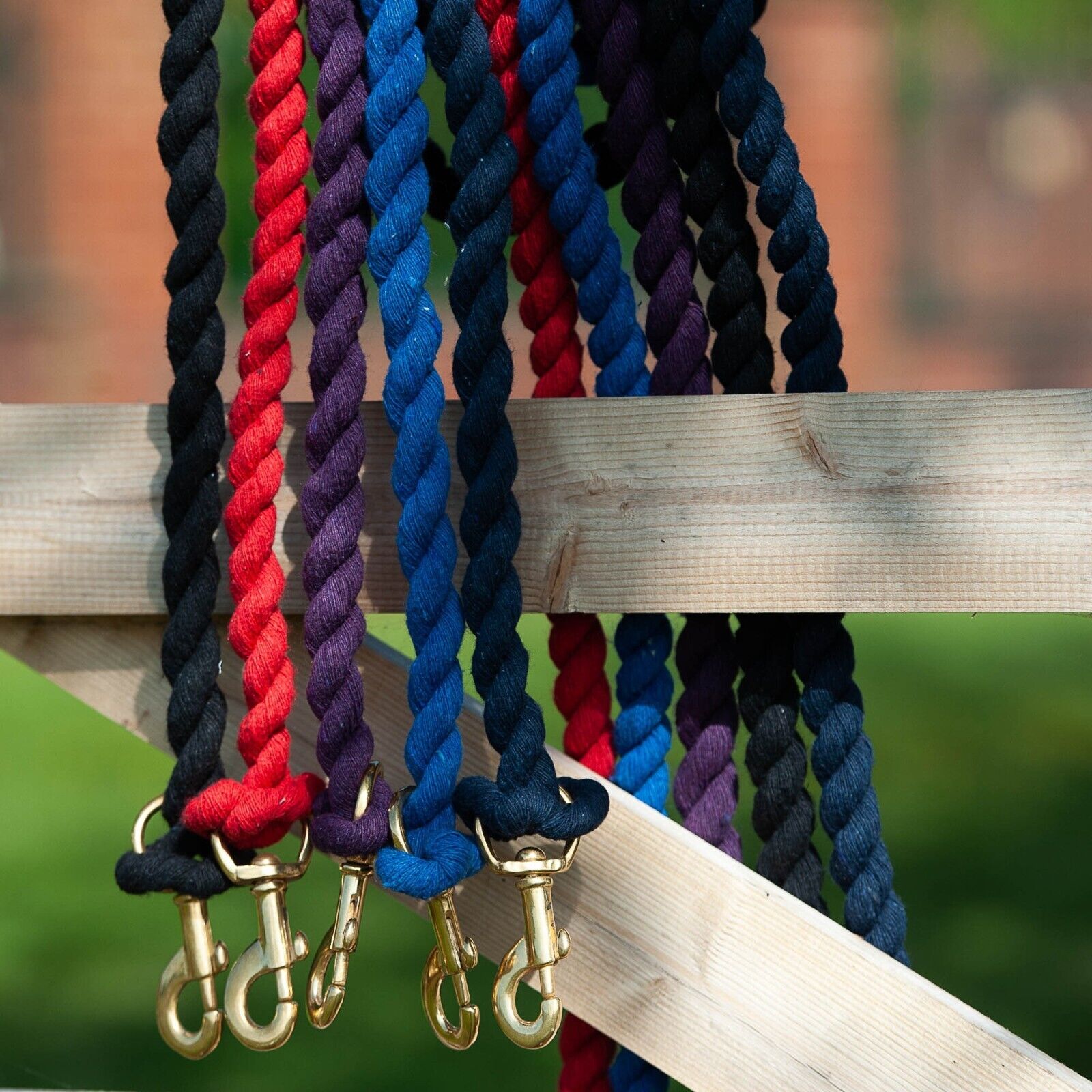 Picture of Gallop Equestrian Premium Headcollar Lead Rope With Solid Brass Trigger Clip