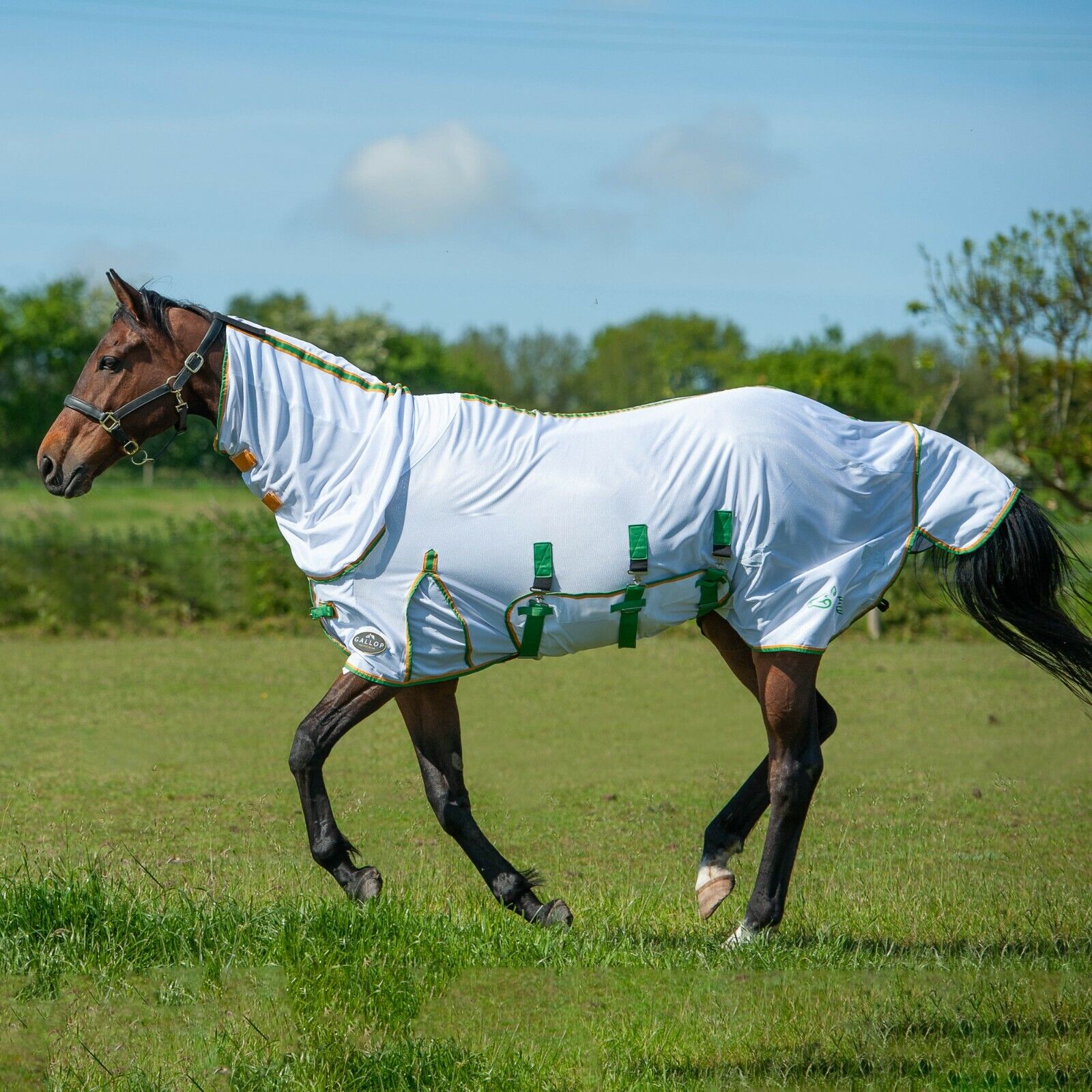 Picture of Gallop Combo Full Neck Lightweight Horse Bug Fly Rug UV Protection
