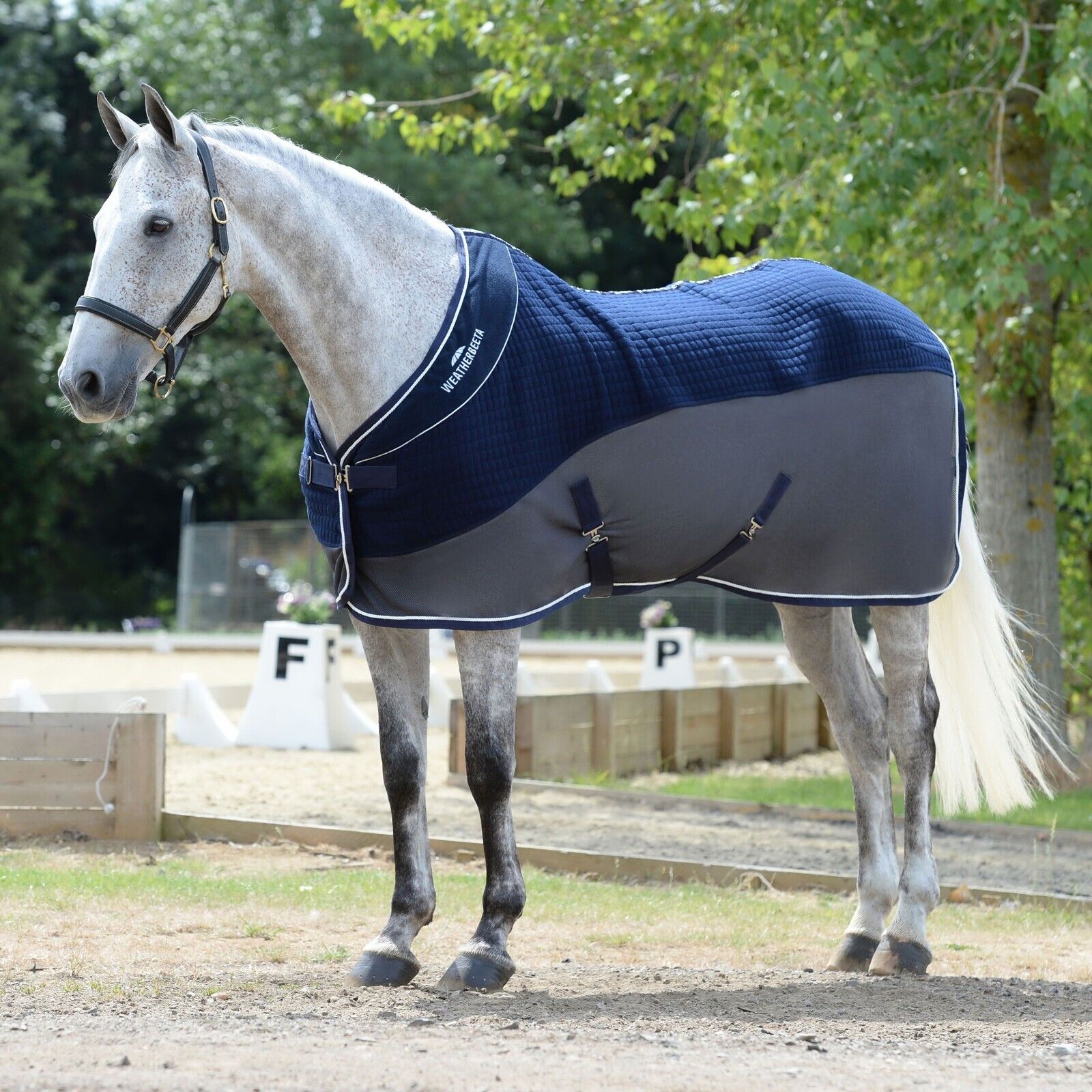 Picture of Weatherbeeta Thermo-Air Horse Cooler / Travel Rug, Std Neck