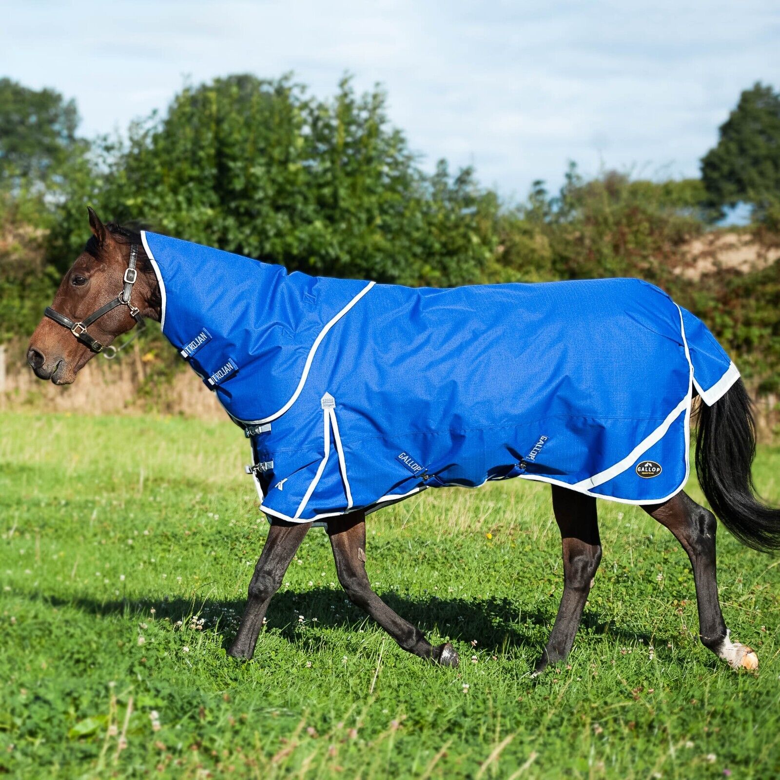 Picture of Turnout Rug 300g Heavyweight GALLOP Trojan X  Dual Rug & Neck Set 1200Denier