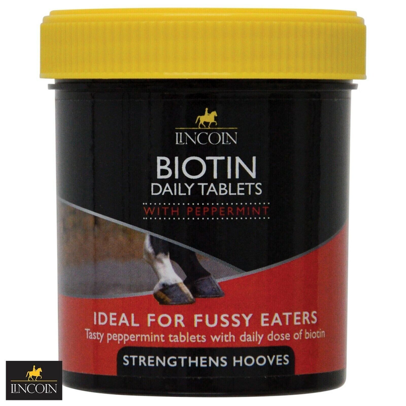 Picture of Lincoln Biotin Daily Tablets, Peppermint, 60 tablets.