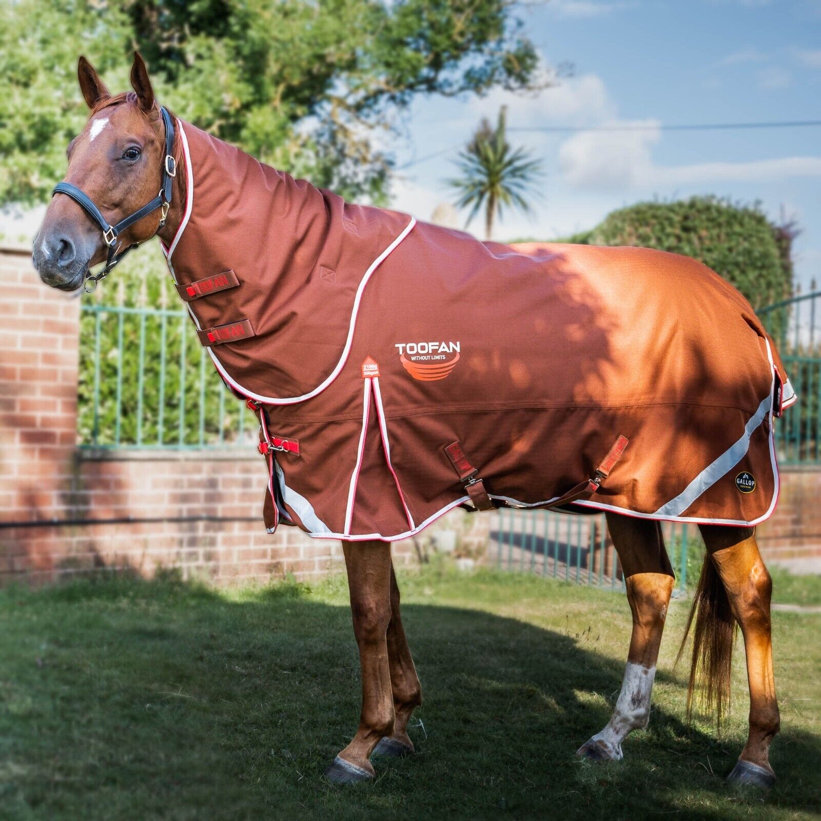 Picture of Gallop Toofan Dual 200g 2100 Denier Mediumweight Horse Turnout Rug & Neck Set