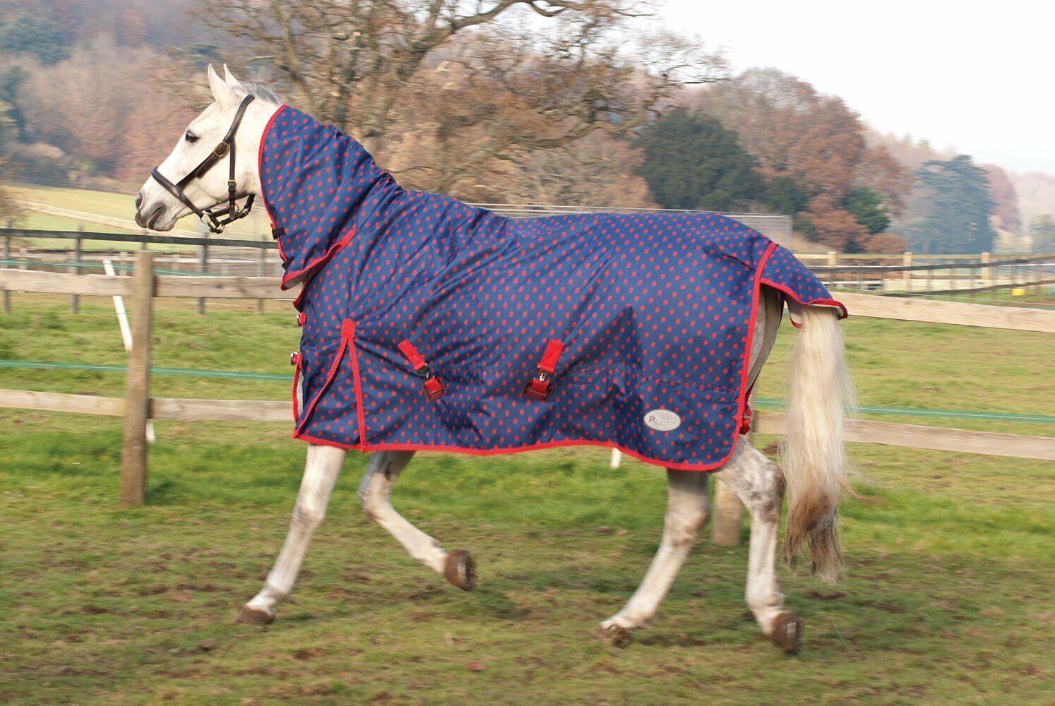 Picture of Rhinegold Torrent Full Neck 0g Lightweight Outdoor Turnout Rug, Blue Or Red Spot