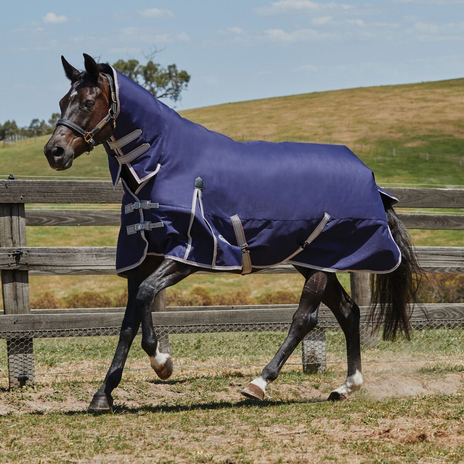 Picture of Weatherbeeta Comfitec Essential Turnout Rug 50g 1200D Lite Plus Fixed Neck Combo
