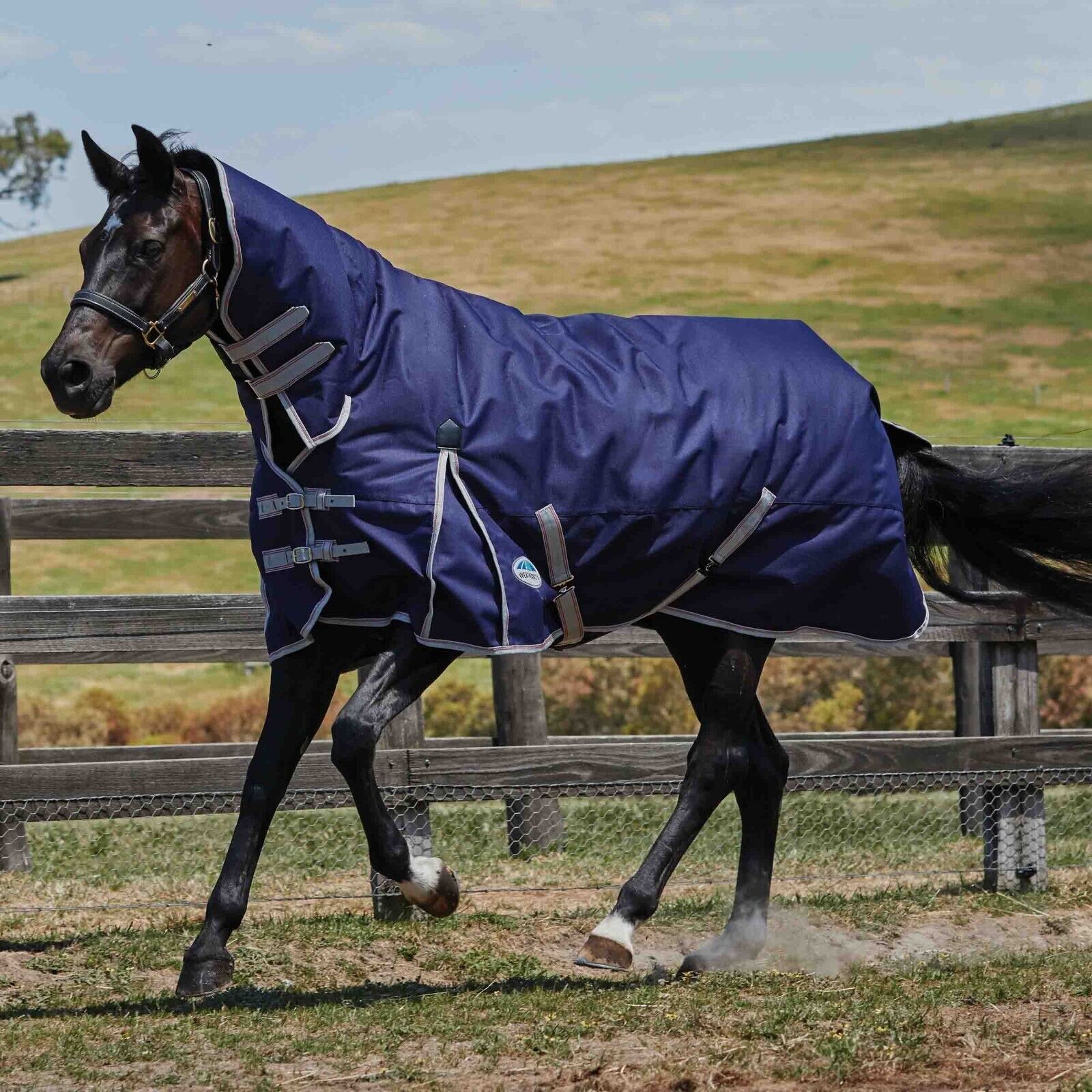 Picture of Weatherbeeta Comfitec Essential Turnout Rug 220g 1200D Medium Fixed Neck Combo