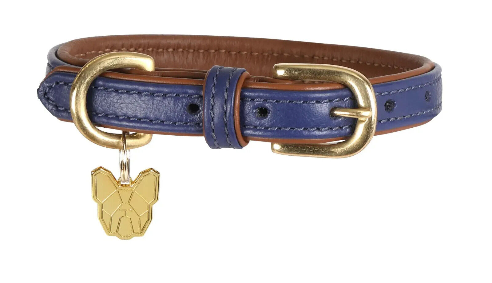 Picture of Shires Digby & Fox Padded Leather Dog Collar | 8 Sizes | 7 Colours