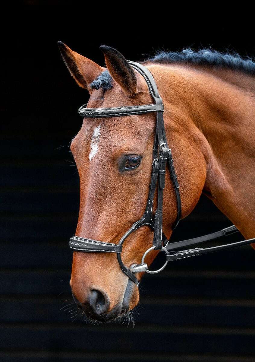Picture of Shires Salisbury Brampton Horse / Pony Snaffle Bridle  |  Black or Aus Nut