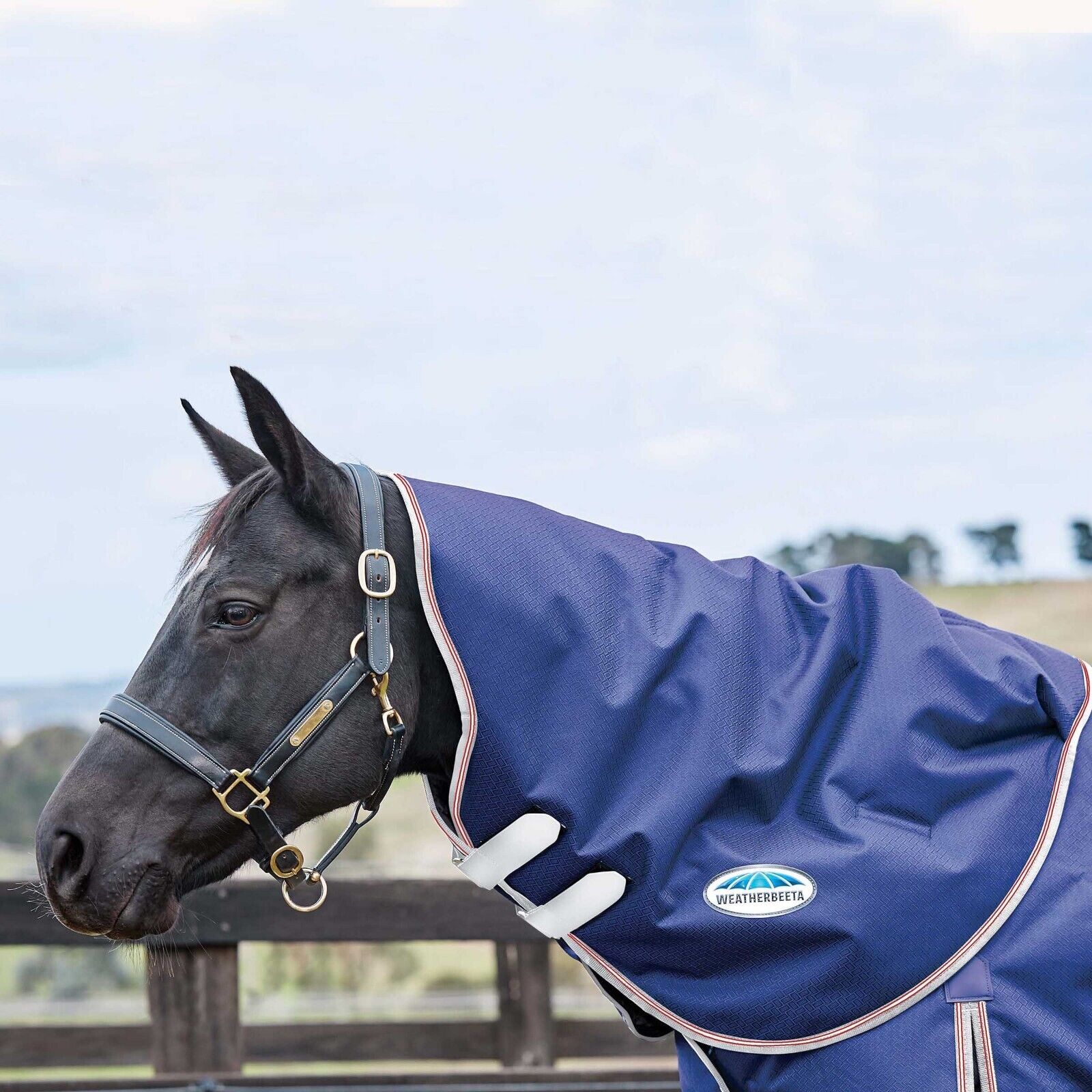 Picture of Weatherbeeta Comfitec Essential Horse Neck Cover/Hood, 220g, 1200D, Medium,