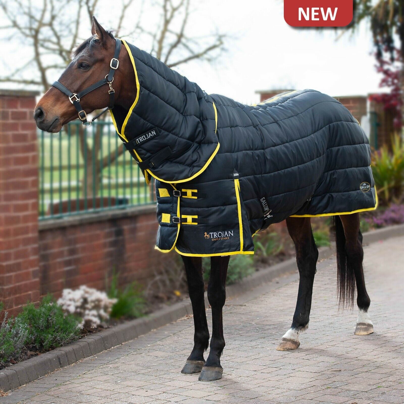 Picture of Gallop Trojan Maverick 200g Mediumweight Indoor Horse Stable Rug Full Neck Combo