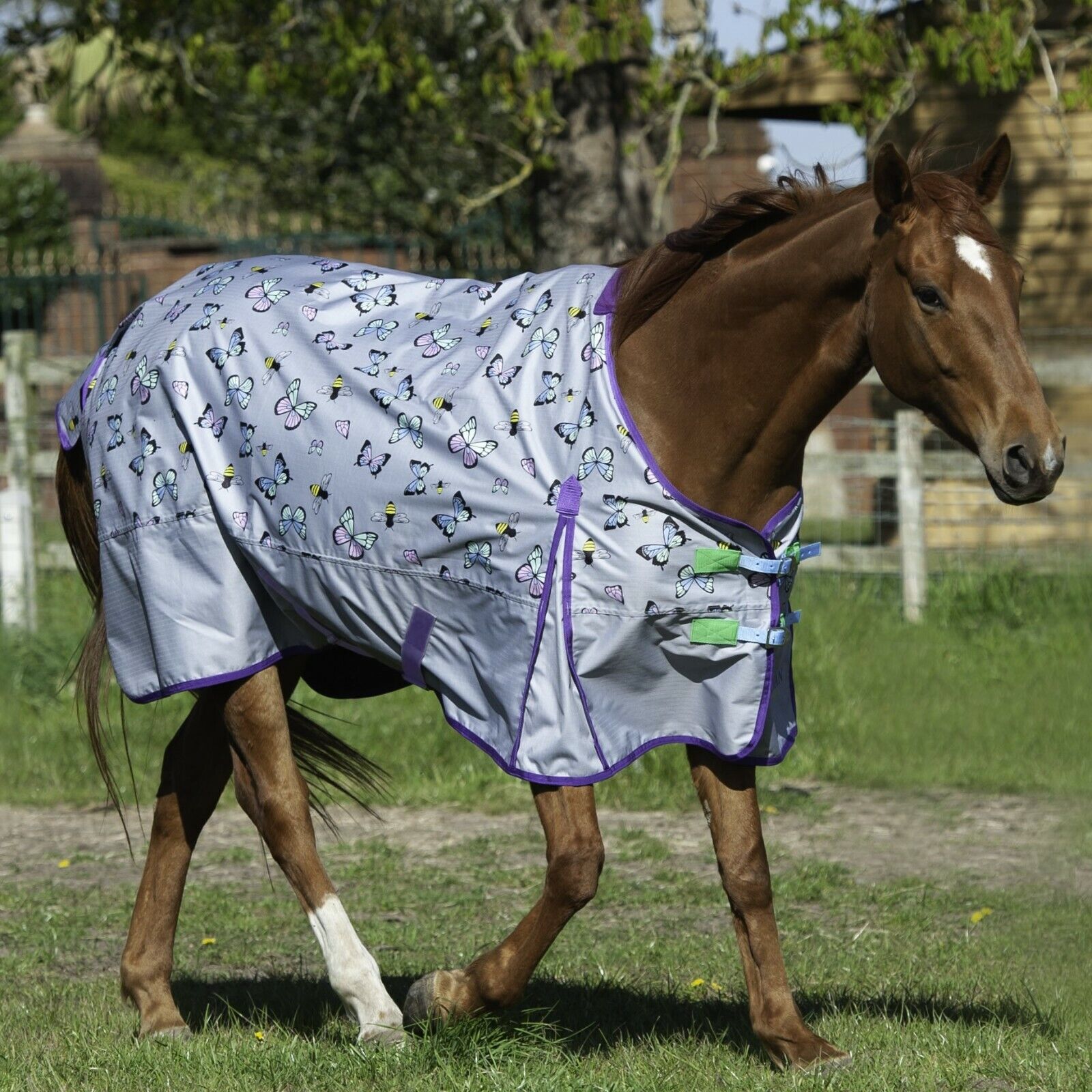Picture of Gallop Bees & Butterflies Lightweight 0g Horse Turnout Rug 600d. Standard Neck