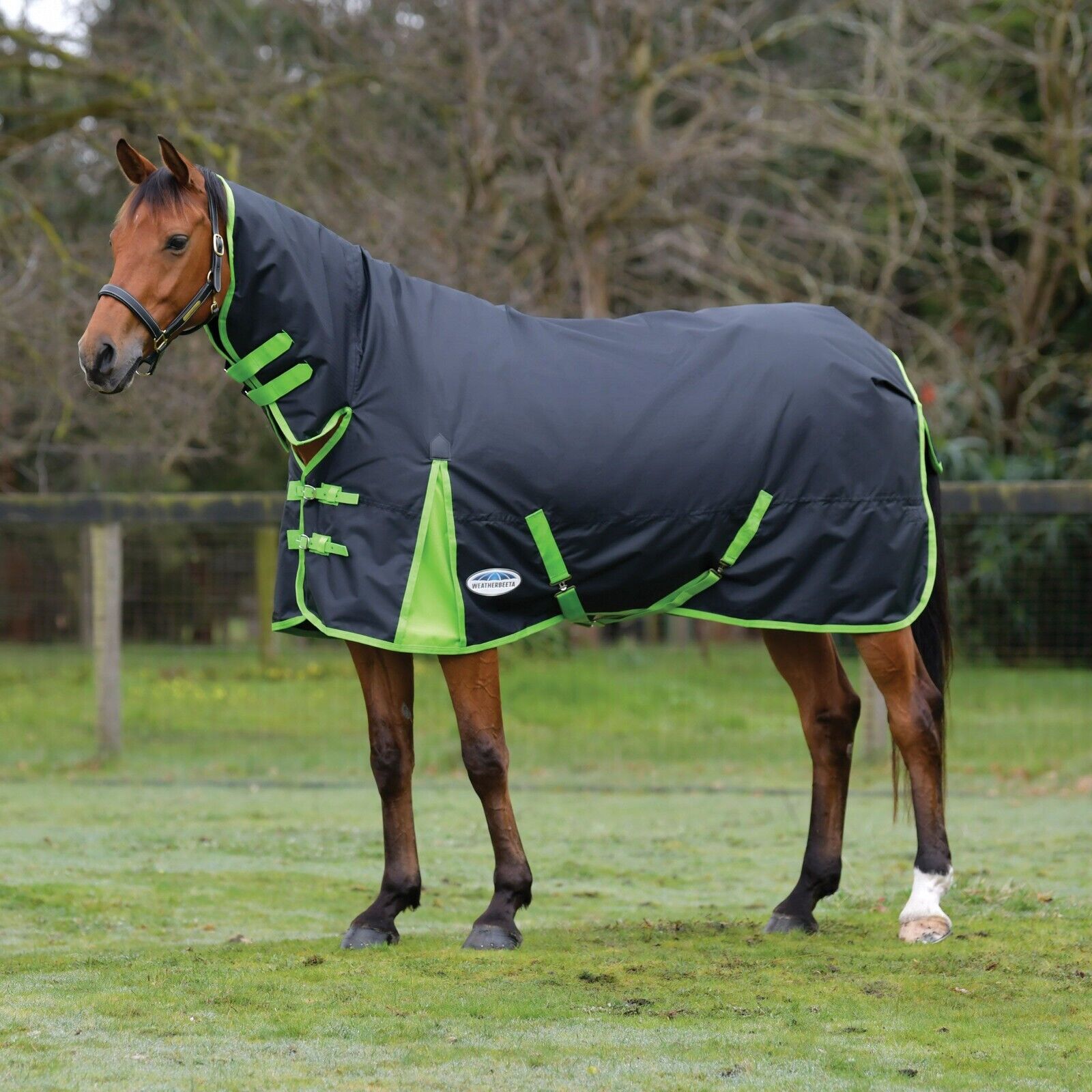 Picture of WeatherBeeta ComFiTec Classic Turnout Rug, 300g, Combo Full Neck, Heavy,  600D