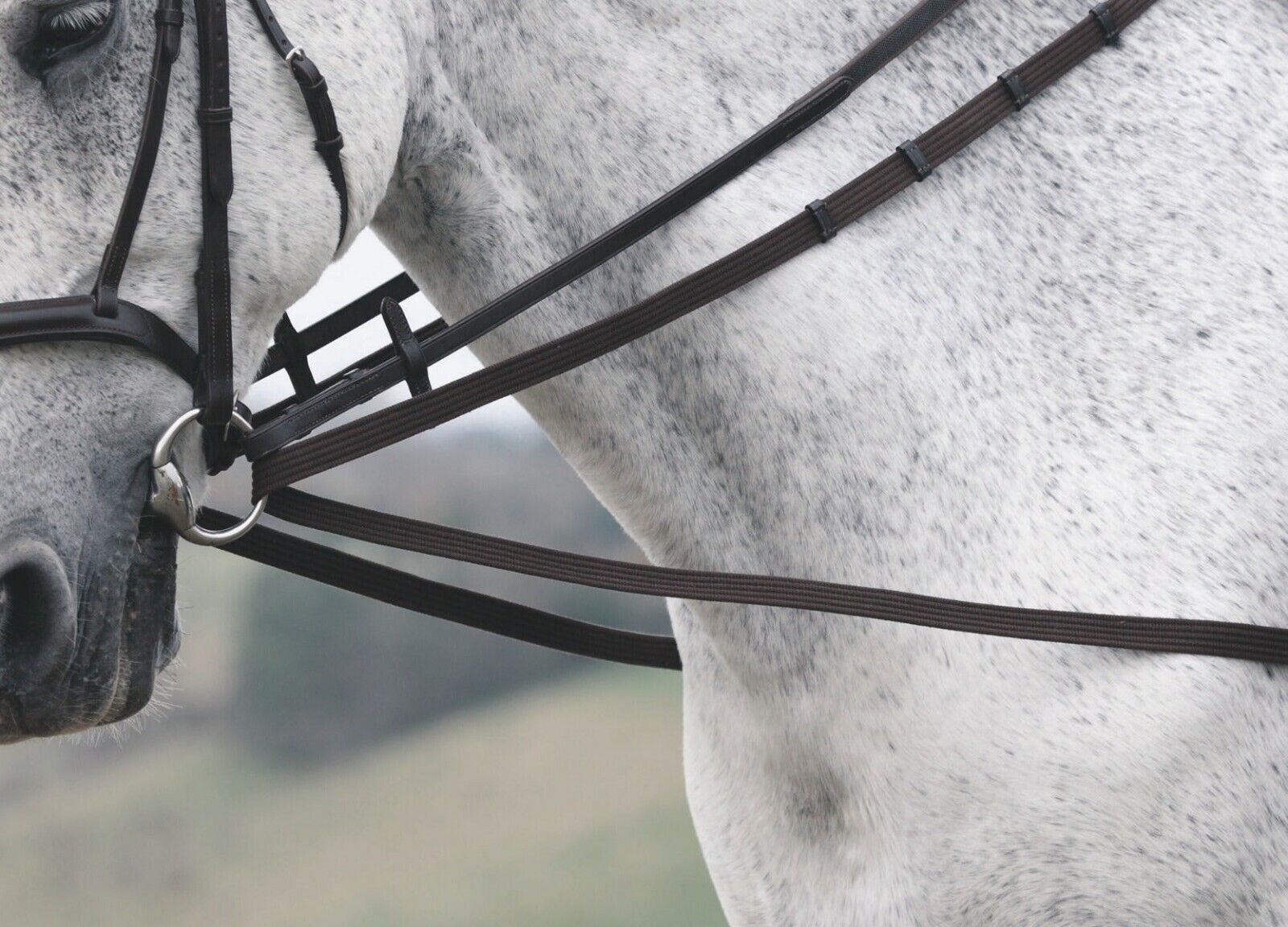 Picture of Shires Cotton Web Draw Reins | Training Aids | Black or Brown