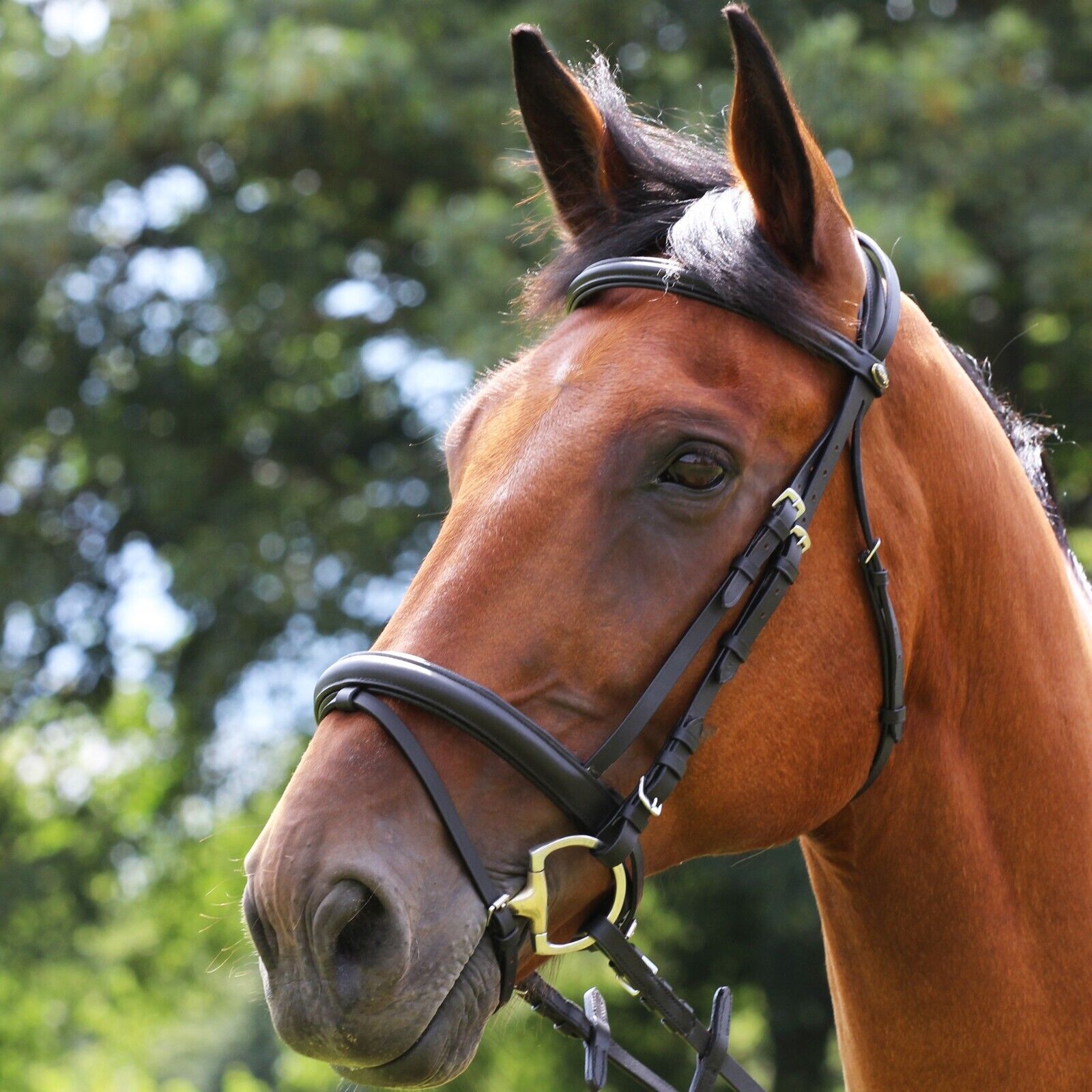 Picture of Gallop Padded Comfort Bridle Leather Crank Noseband, Rubber Reins, Black, Brown