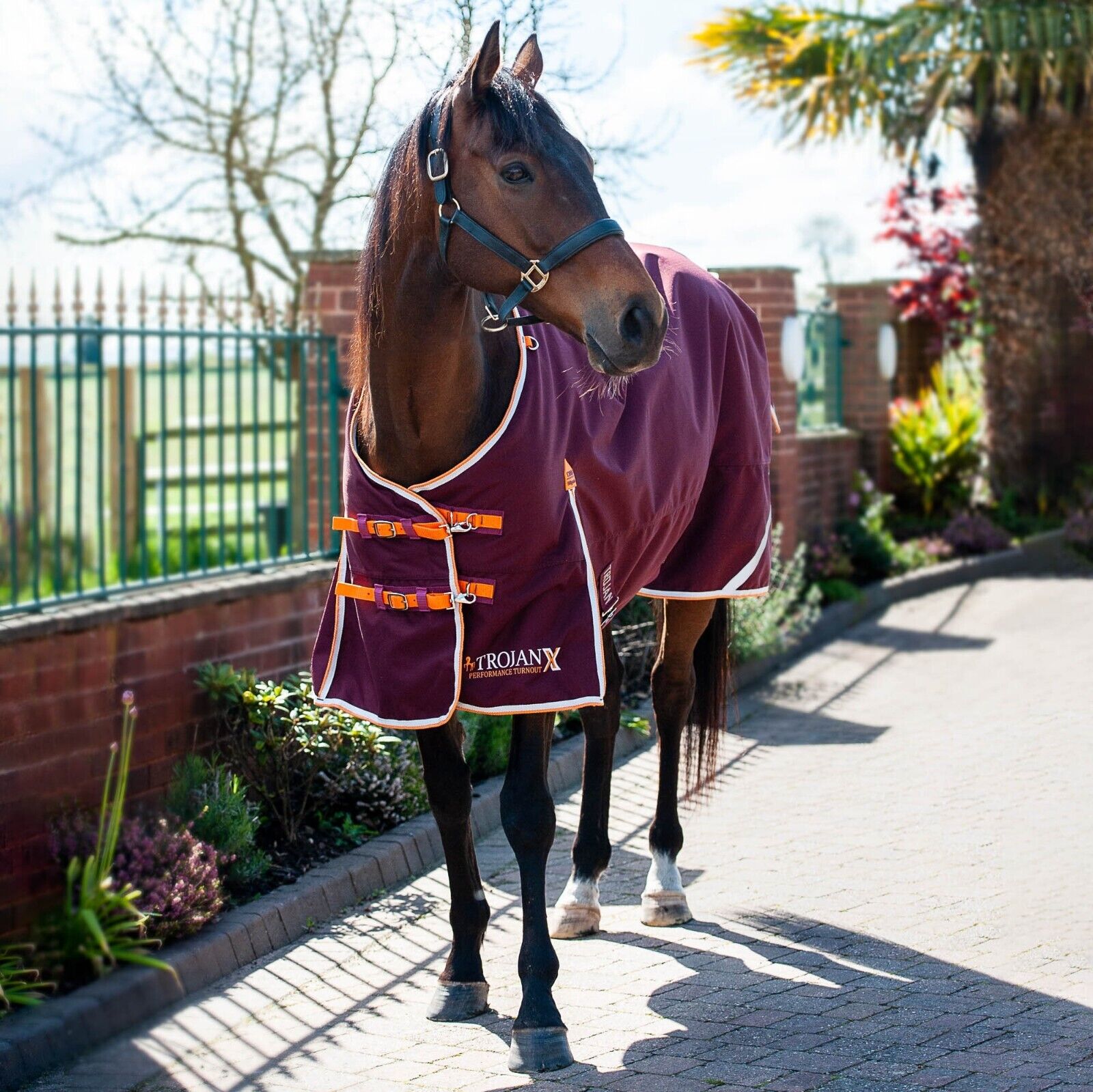 Picture of Gallop Trojan Xtra Lightweight 100G 1200 Denier Horse Turnout Rug Std Neck