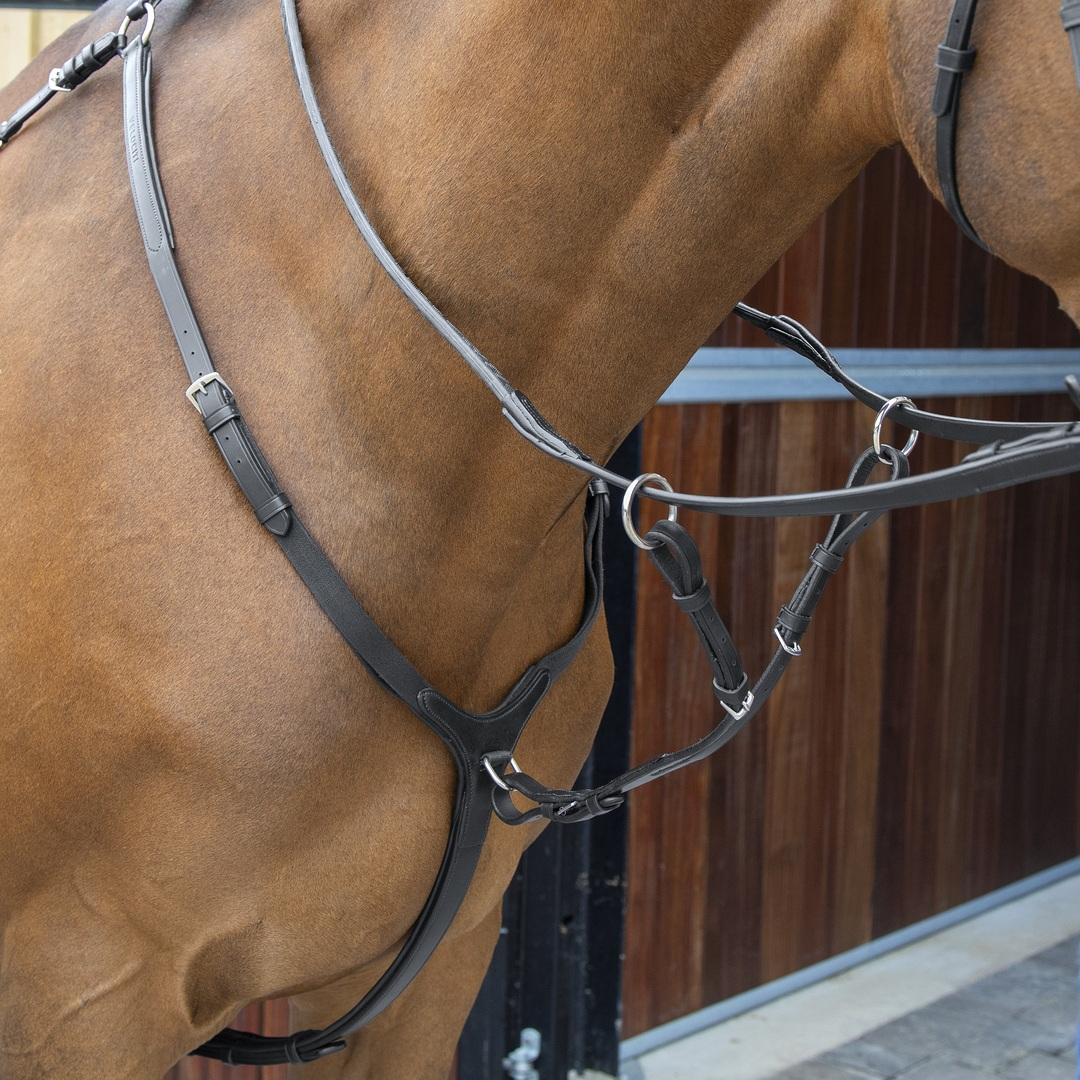 Picture of Shires Velociti Lusso Leather Breastplate, Black, Havana, 4 Sizes,