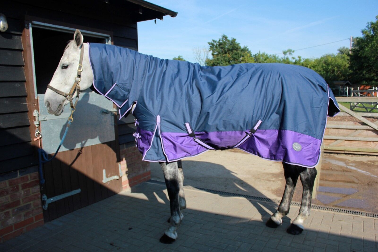 Picture of Heavyweight Horse Turnout Rug, 350g Rhinegold Aspen Combo, Full Neck, Winter