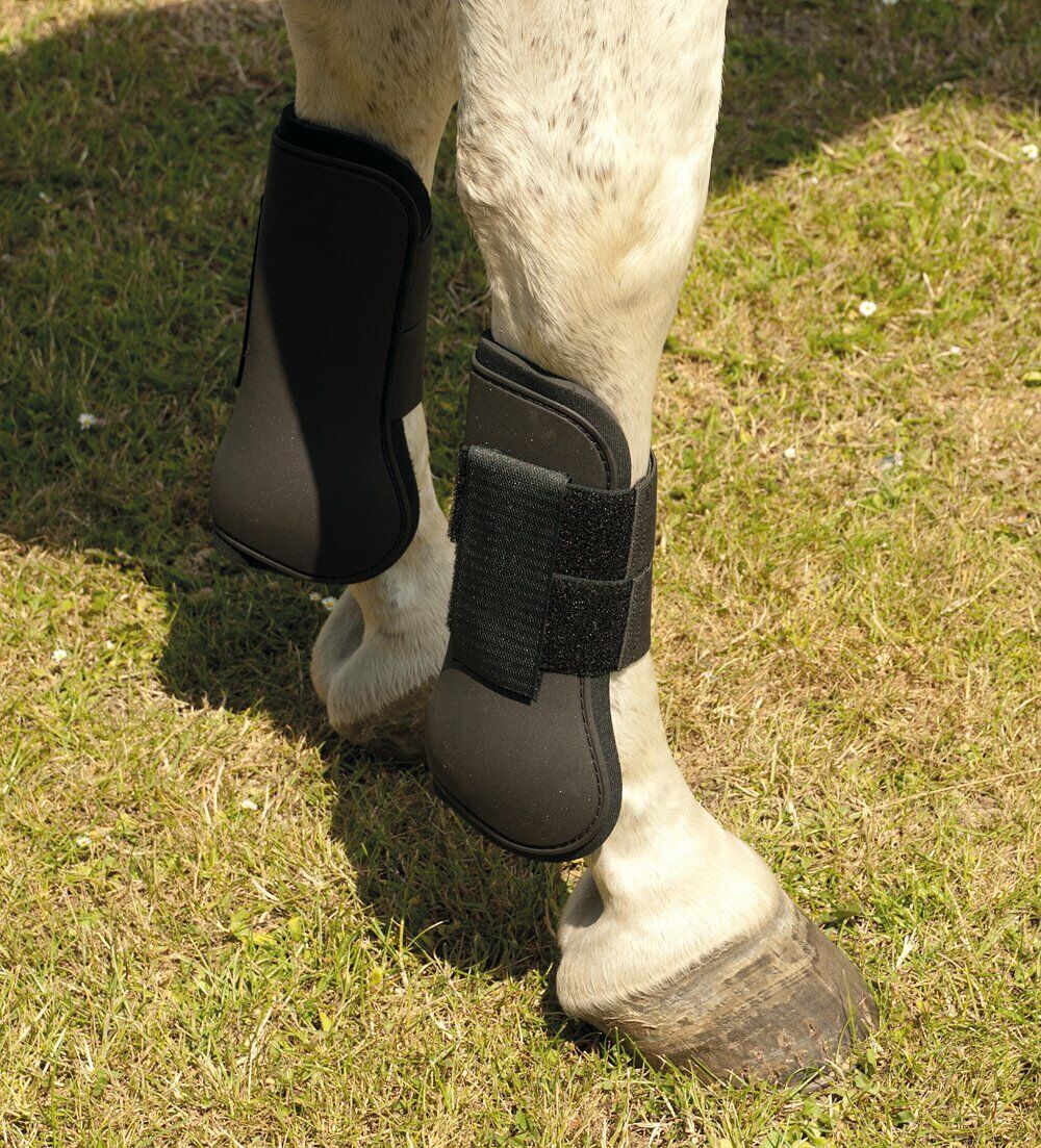 Picture of Harlequin Neoprene Tendon Boots | Black | Pony, Cob, Full.