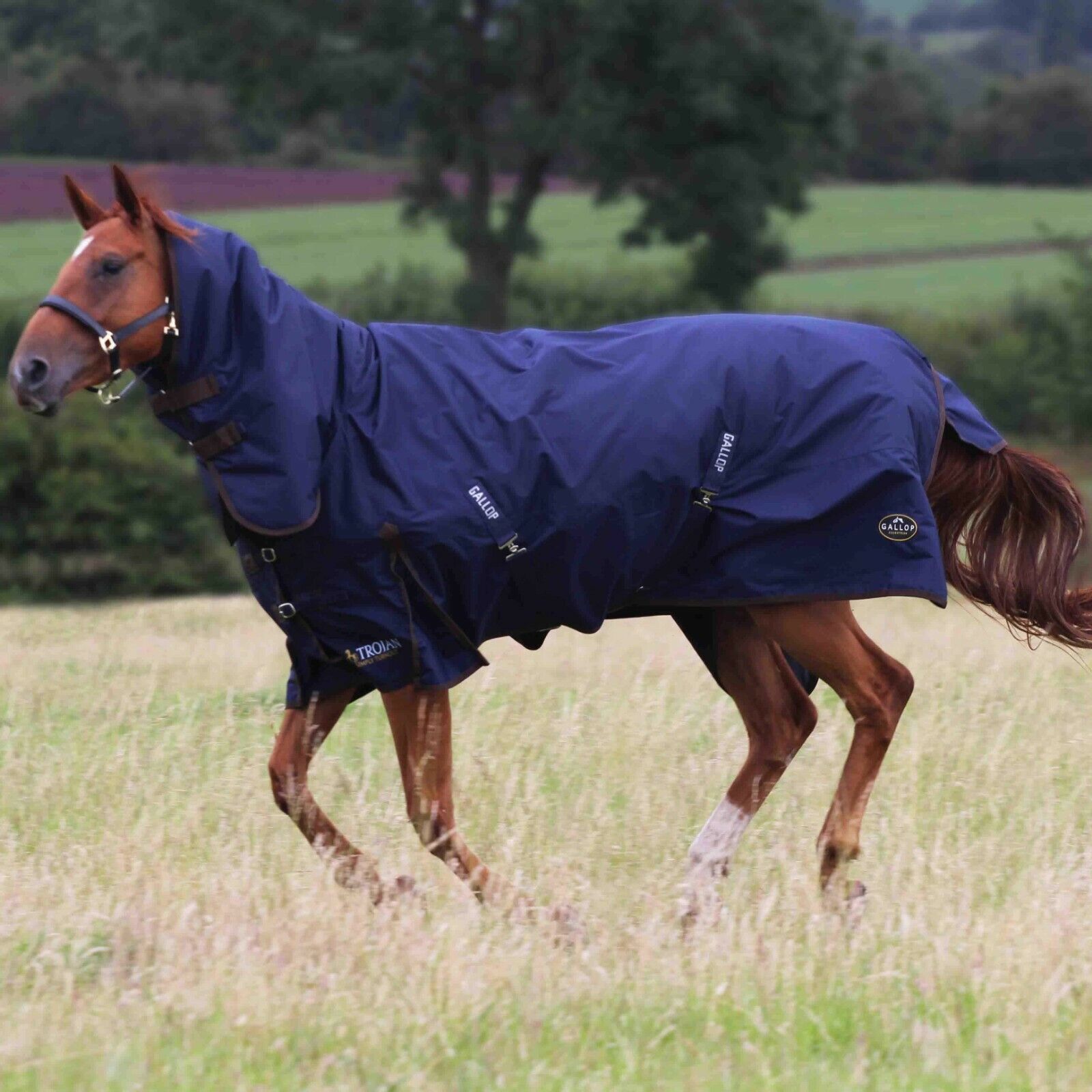 Picture of Gallop Trojan 450g Heavyweight Horse Turnout Rug Combo Full Neck Waterproof