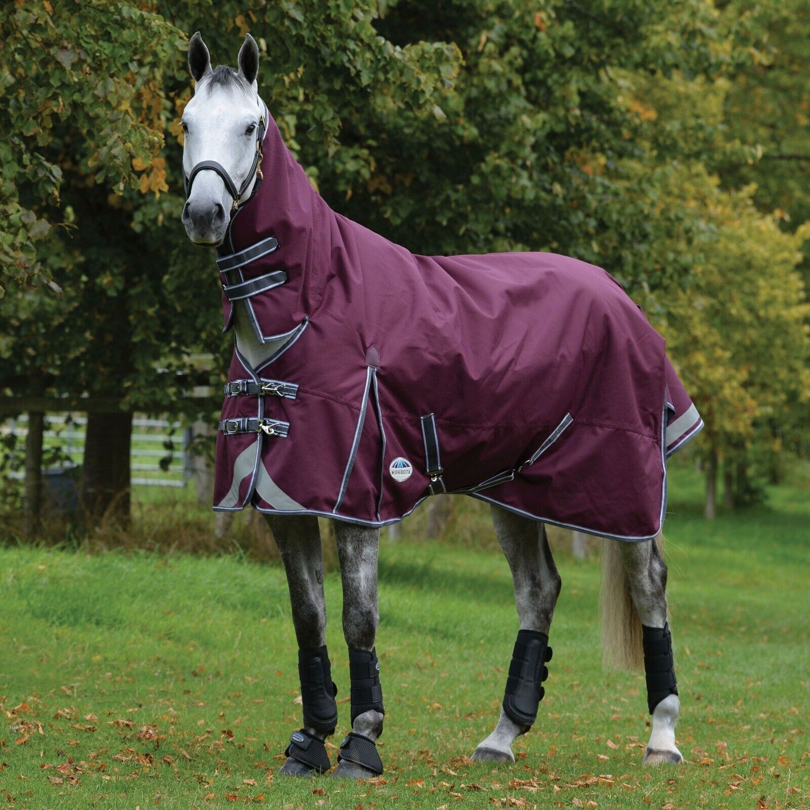 Picture of Weatherbeeta Comfitec Plus Dynamic II Turnout Rug 100g 1200D Fixed Neck Combo