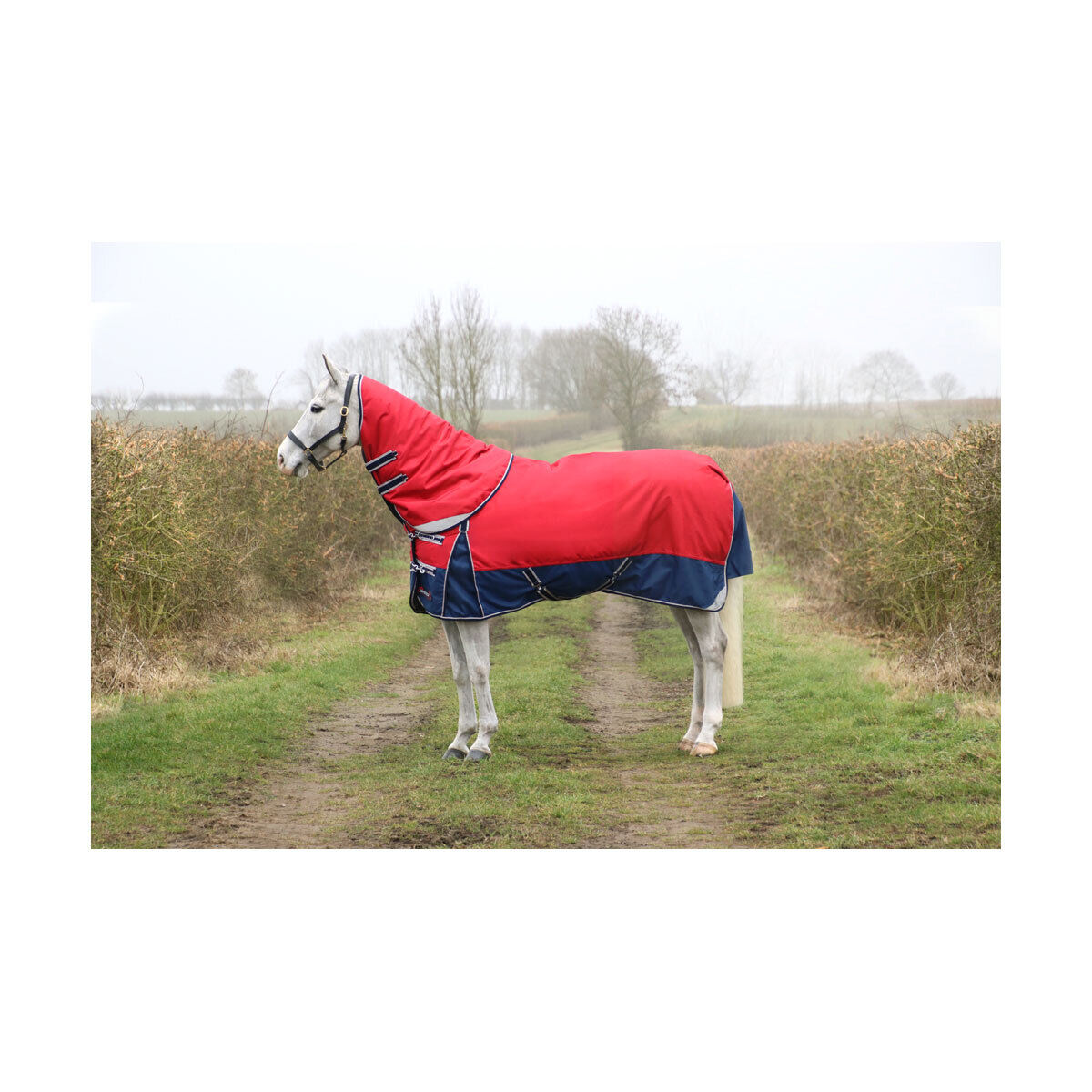 Picture of HY DefenceX System 200g Horse Turnout Rug & Detachable Neck Set  | Mediumweight