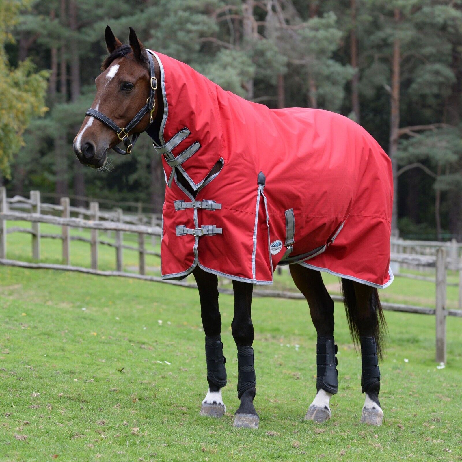 Picture of WeatherBeeta ComFiTec Classic Turnout Rug, Combo Full Neck, Medium, 220g 600D