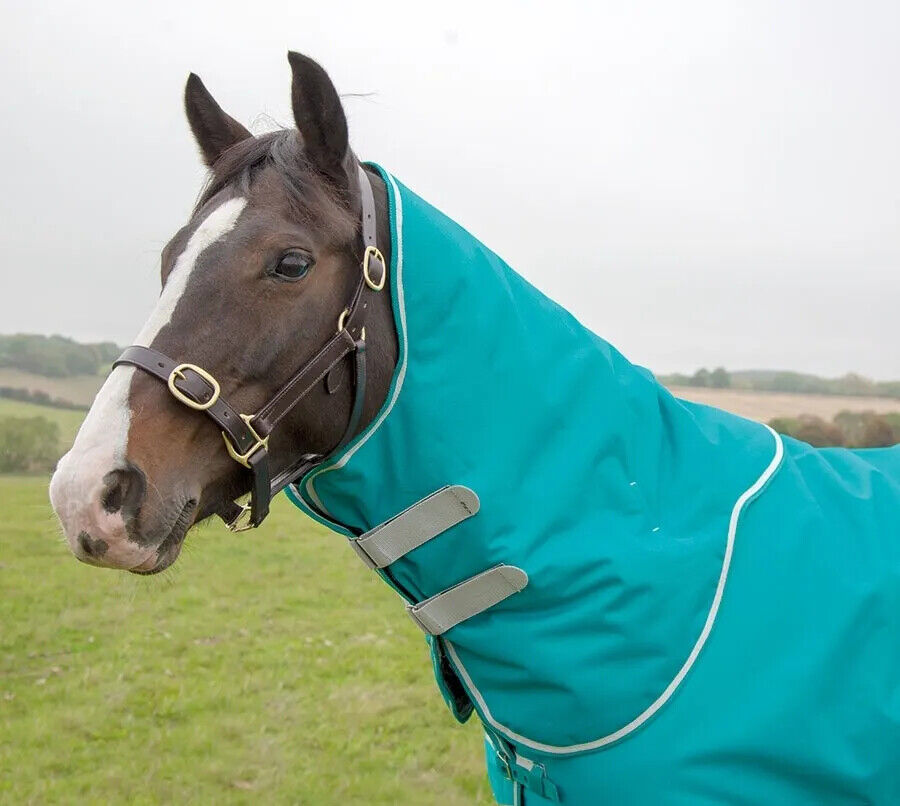 Picture of Shires Tempest Plus 200G Horse/Pony Turnout Neck Cover  |  Teal | 1200 Denier
