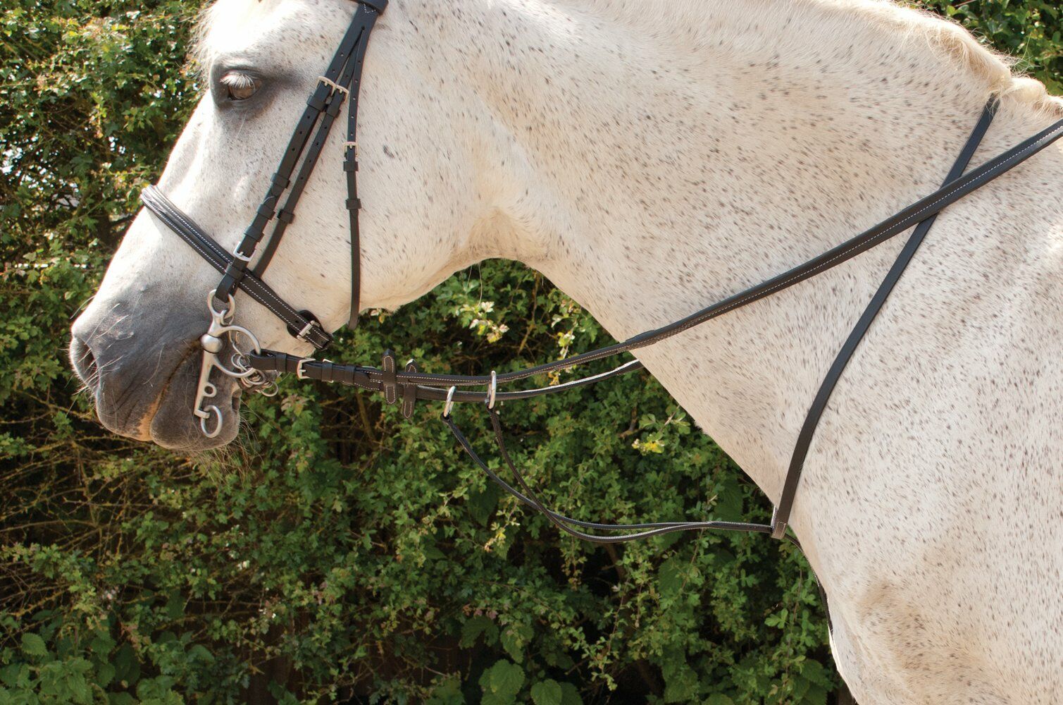 Picture of Rhinegold Elegance Leather Fancy Stitched Running Martingale | Black or Havana