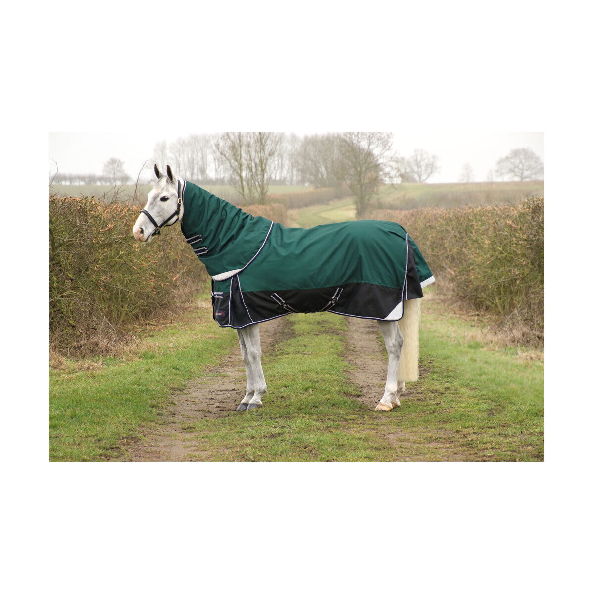 Picture of HY DefenceX System 100g Horse Turnout Rug and Detachable Neck Set  | Lightweight