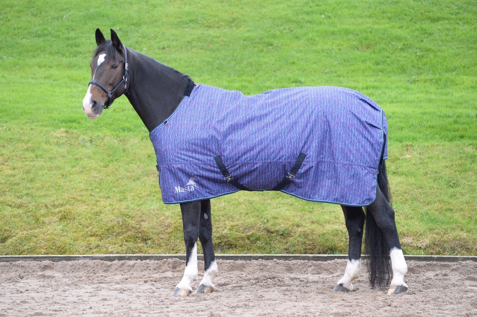 Picture of Masta Avante Winter Heavyweight Horse Turnout Rug Blanket|  340g | 600 Denier