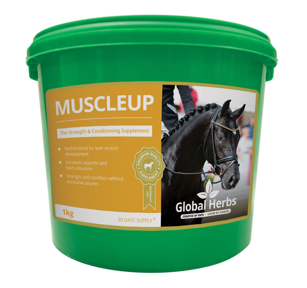 Picture of Global Herbs Muscle Up, 1kg Tub, Horse / Pony Strength & Conditioning Supplement